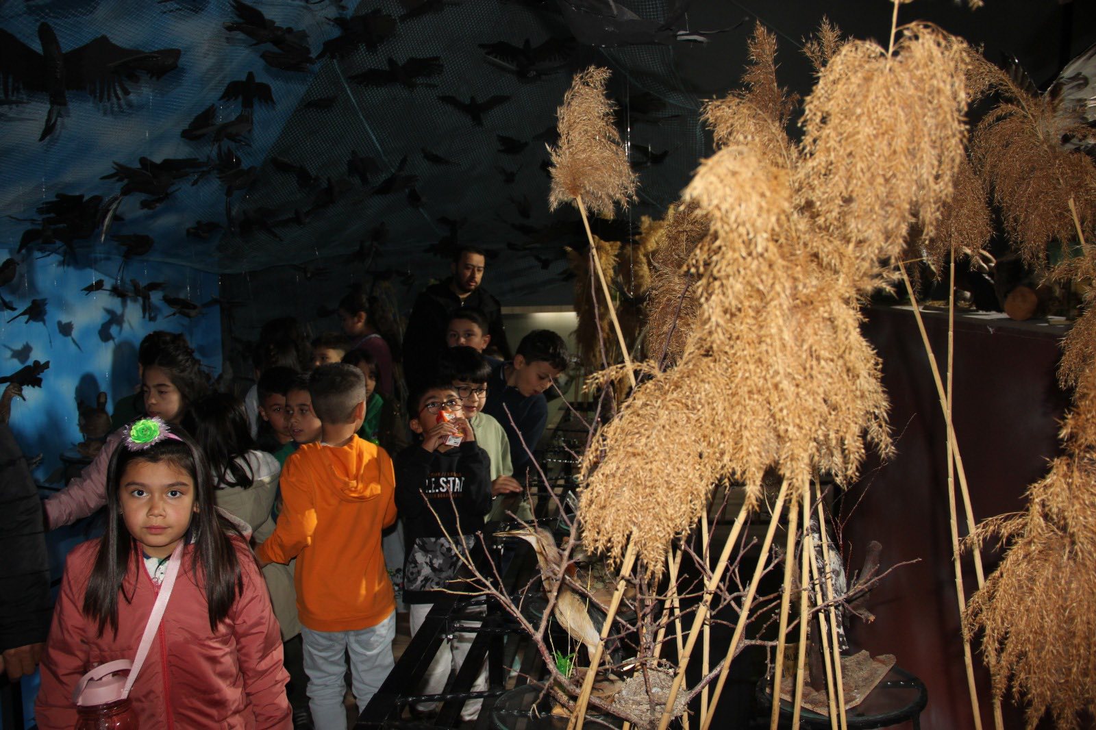 Aşıkpaşa Tabiat Parkı Ve Tabiat Müzesi Renkli Anlara Sahne Oldu4