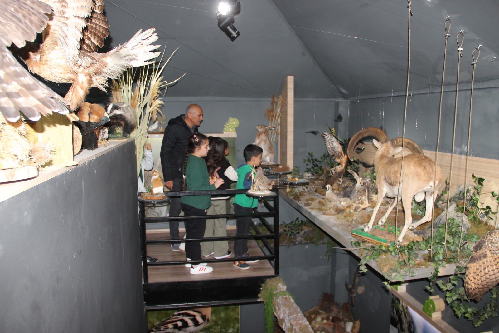 Aşıkpaşa Tabiat Parkı Ve Tabiat Müzesi Renkli Anlara Sahne Oldu5