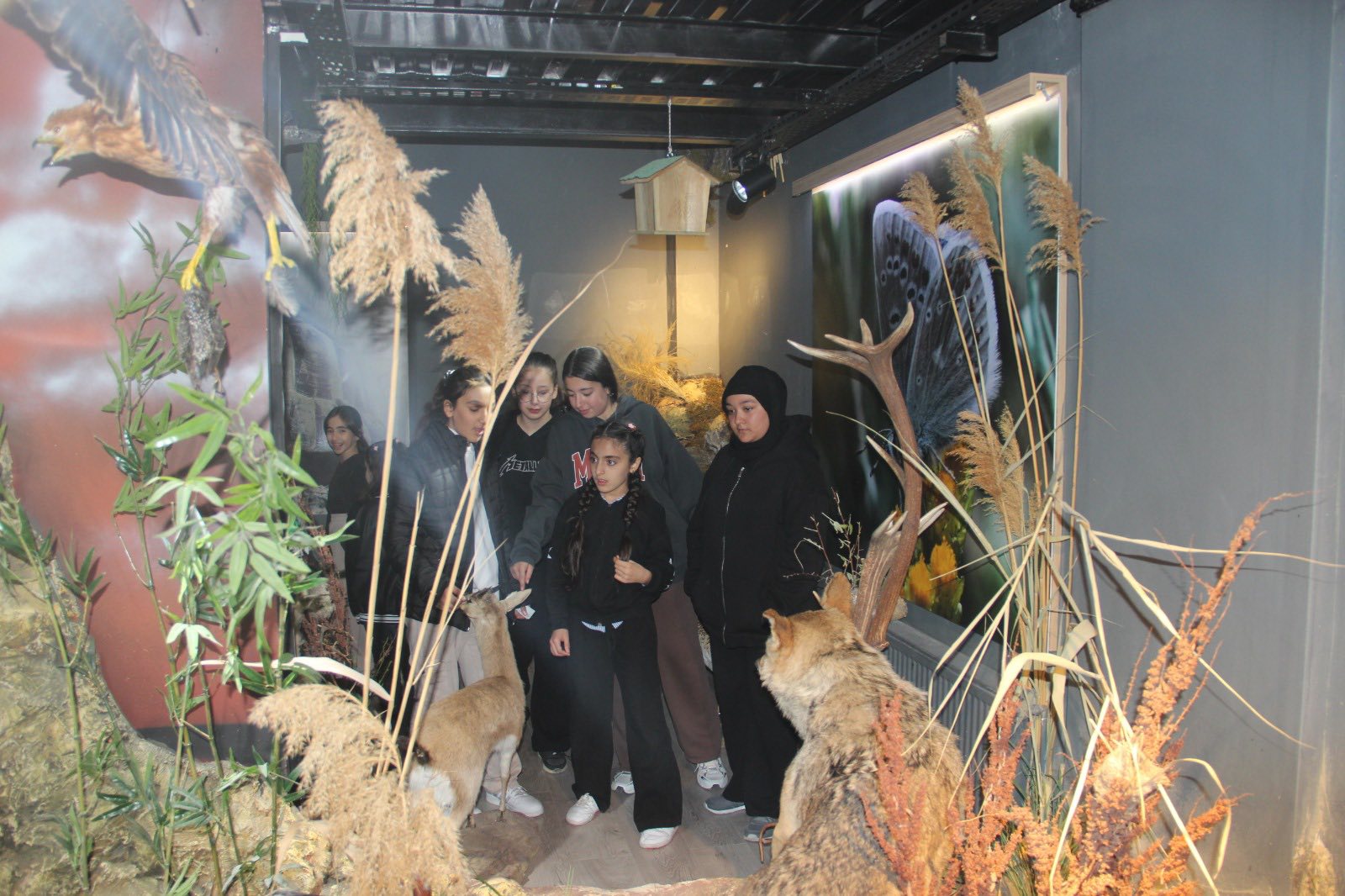 Aşıkpaşa Tabiat Parkı’nda Doğanın Renkleriyle Tanıştılar (2)