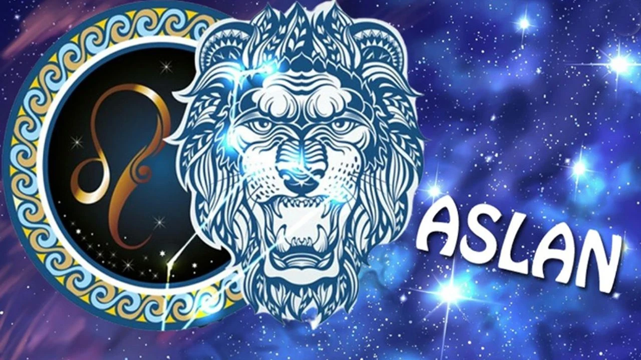 Aslan Burcu