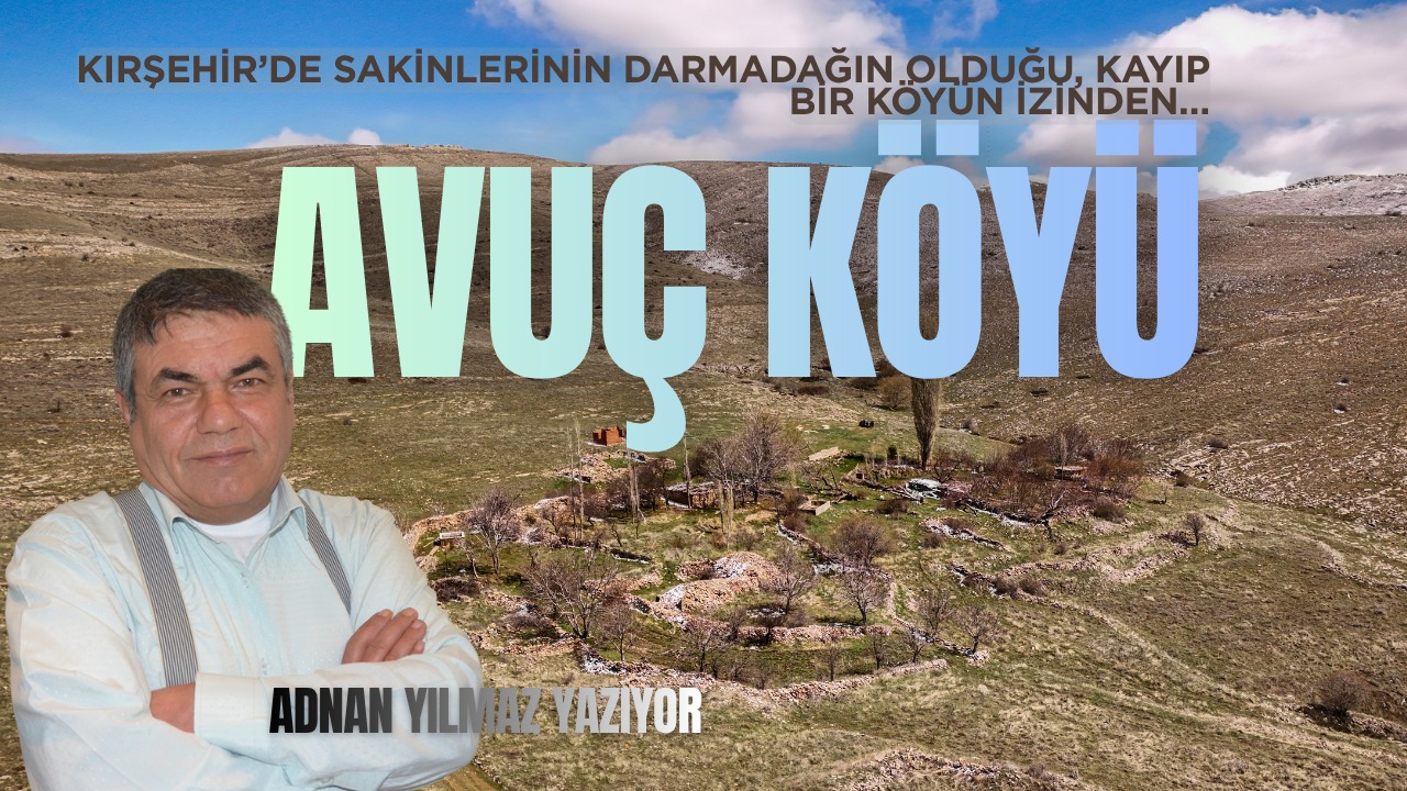 Avuç