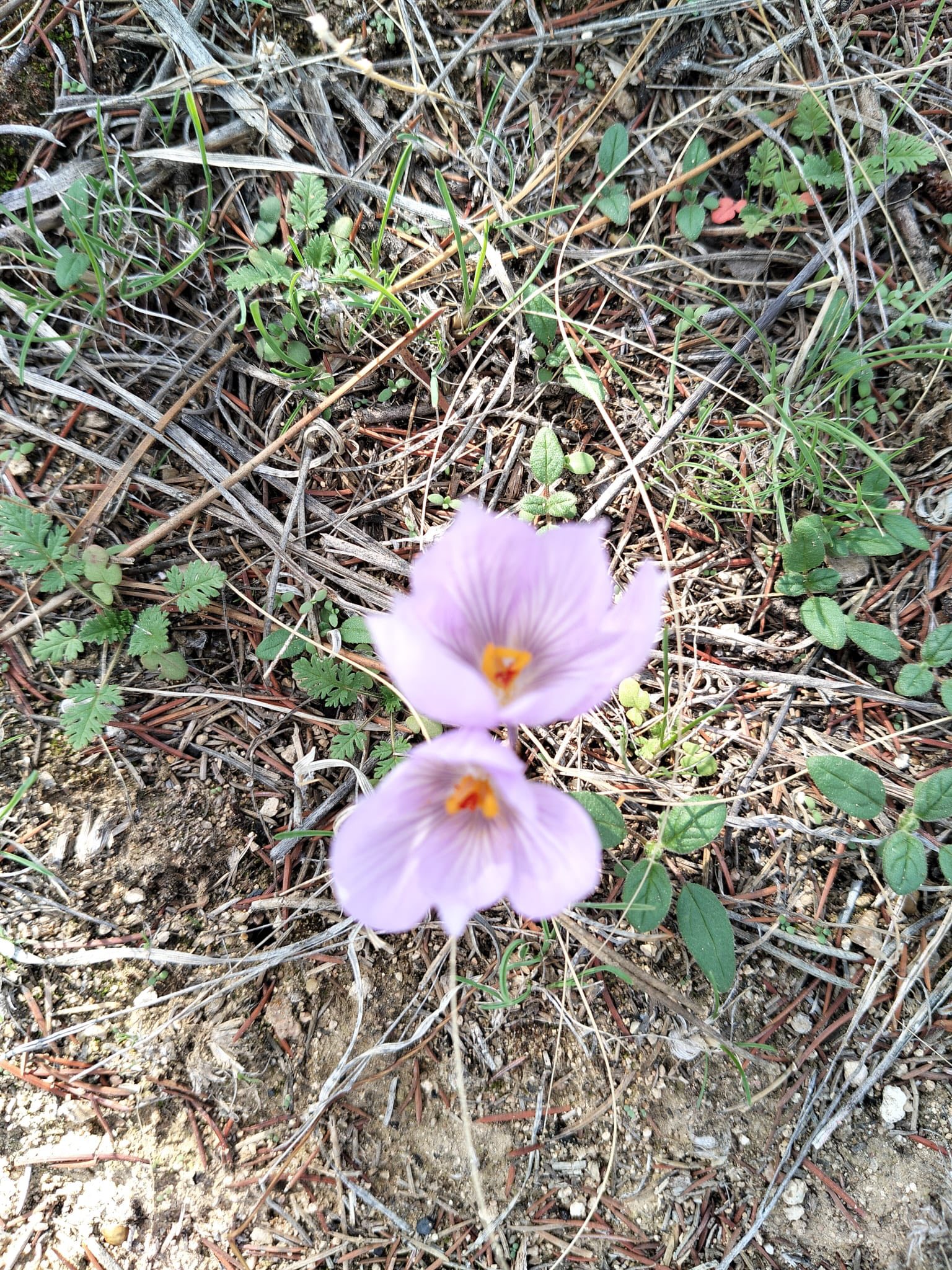 Bozkırın Kalbinde Mucize1