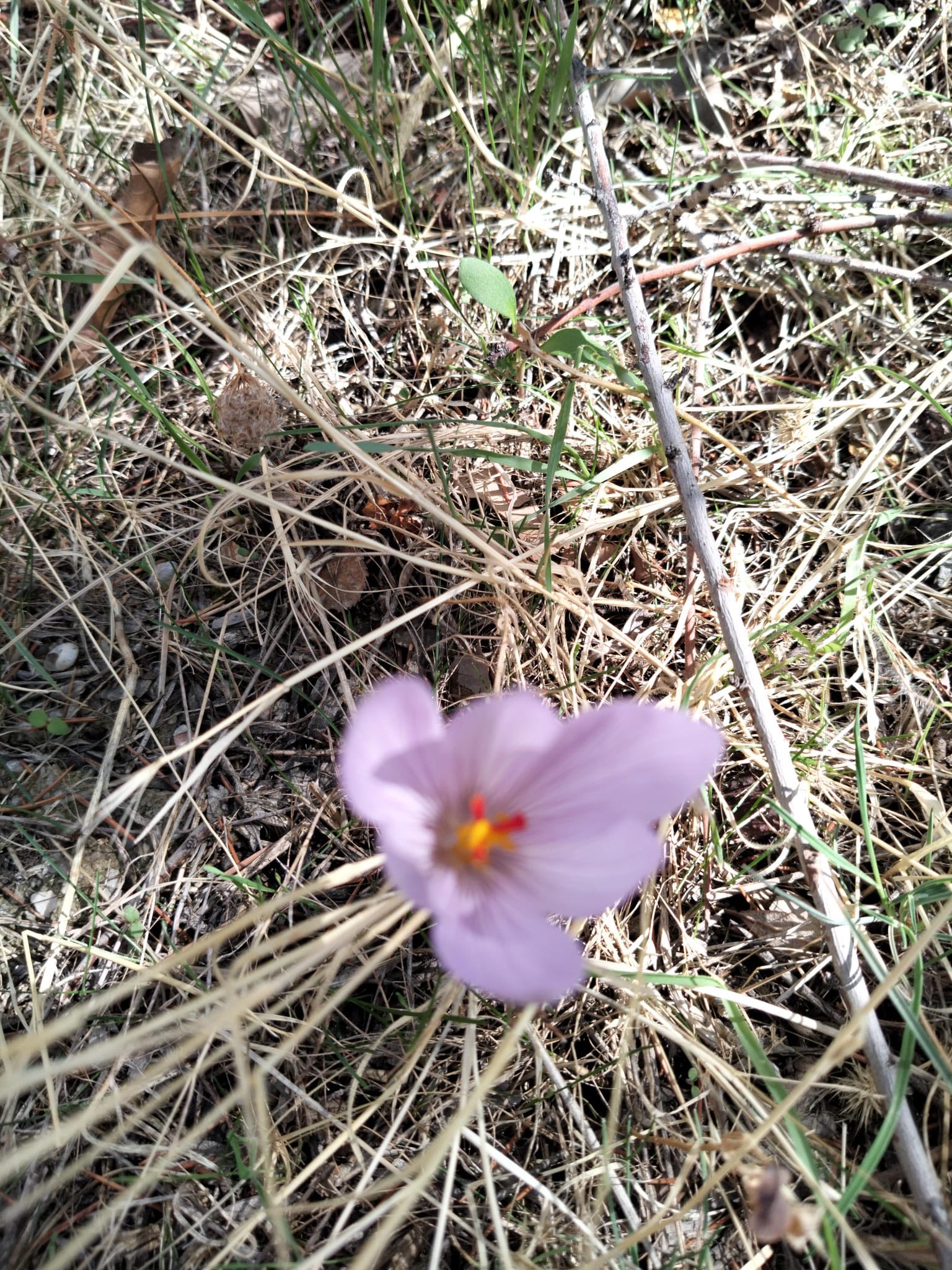 Bozkırın Kalbinde Mucize3