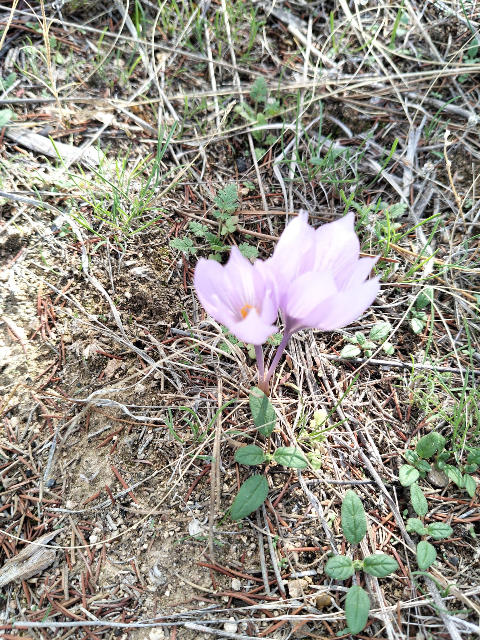 Bozkırın Kalbinde Mucize4