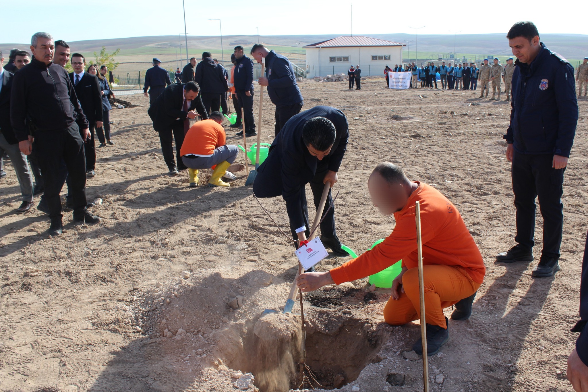 Ceza Infaz Kurumları Fidanlarla Yeniden Yeşeriyor 4