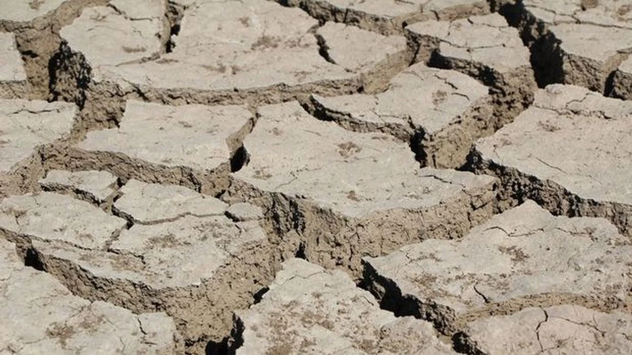 Çiftçi Kara Kara Düşünüyor 1 (2)