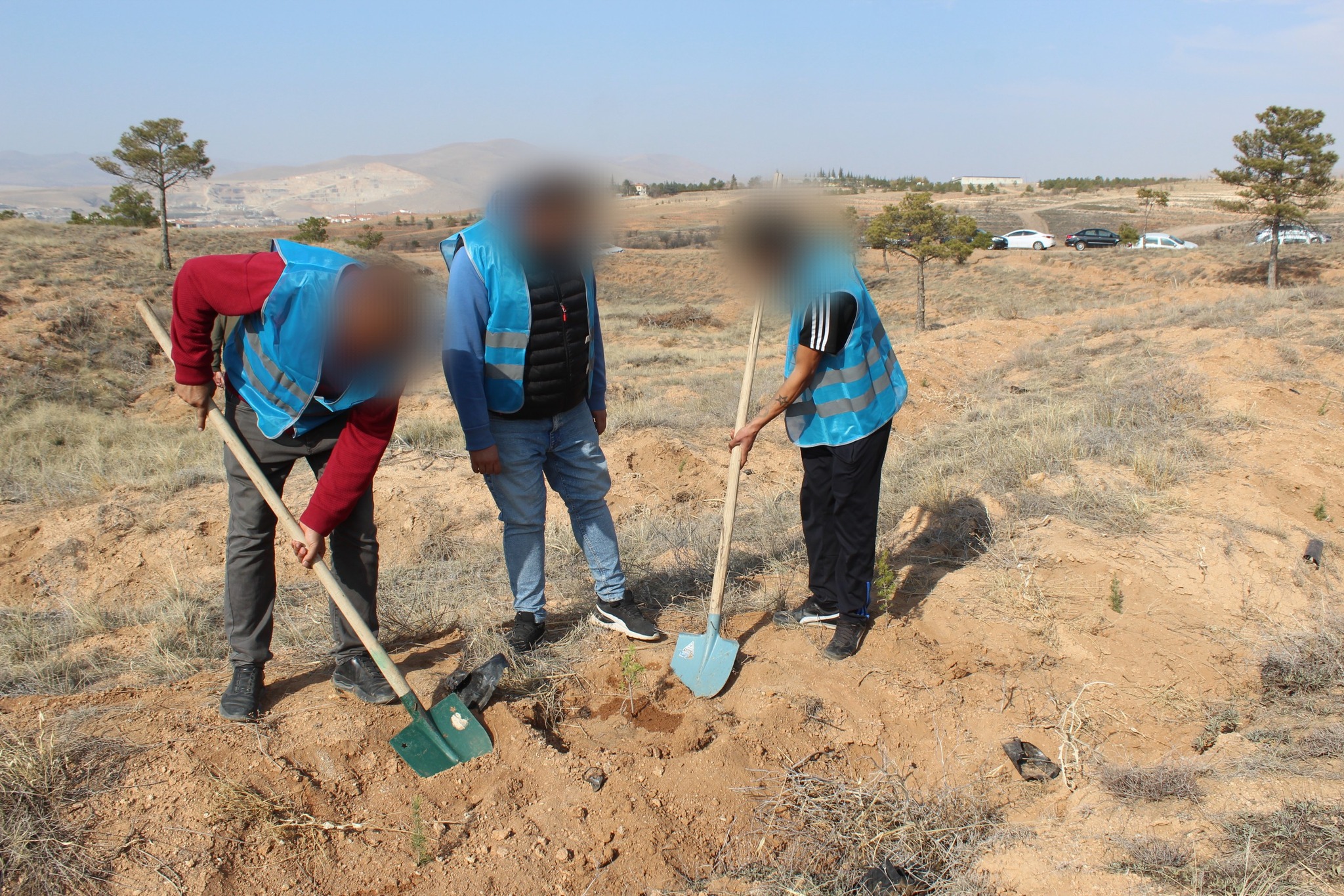 Fidanlar Kırşehir’i Güzelleştiriyor 3