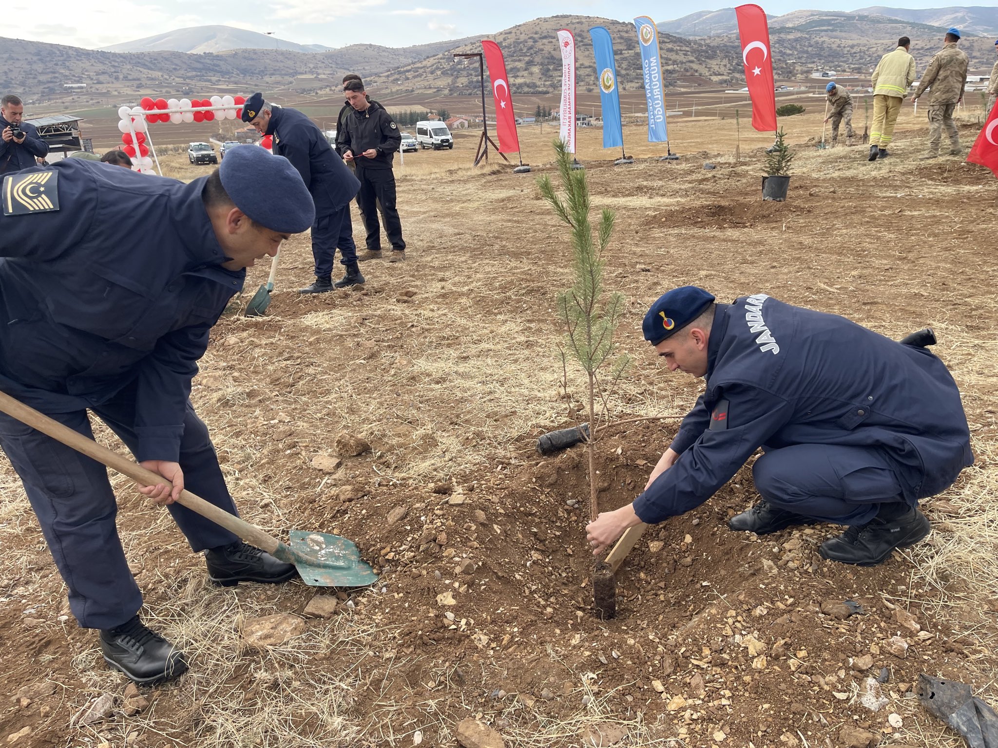 G5T V E G2 Wo A Aa L Xo