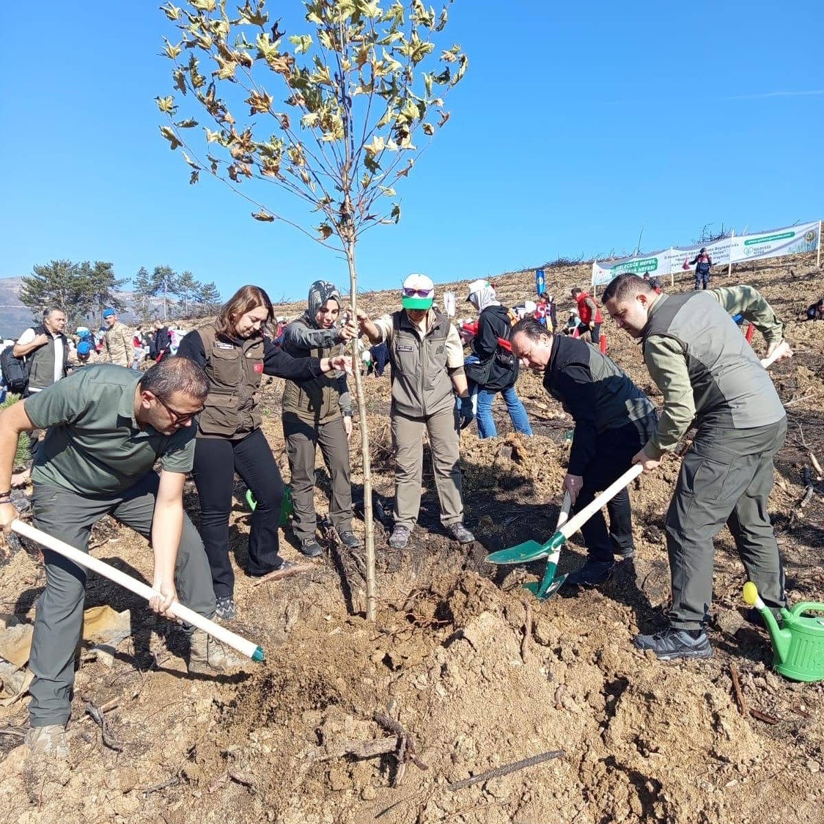 Kırşehir’de Binlerce Fidan Geleceğe Nefes Oldu