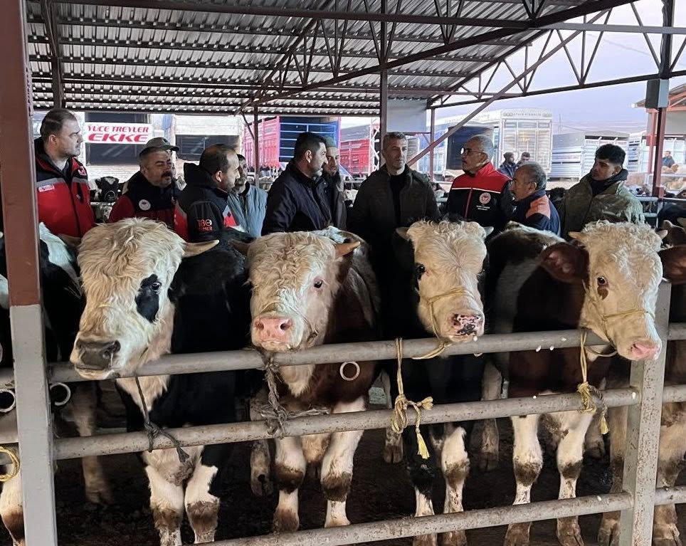 Kırşehir’de Hayvancılık Için Sahaya Çıkıldı 5