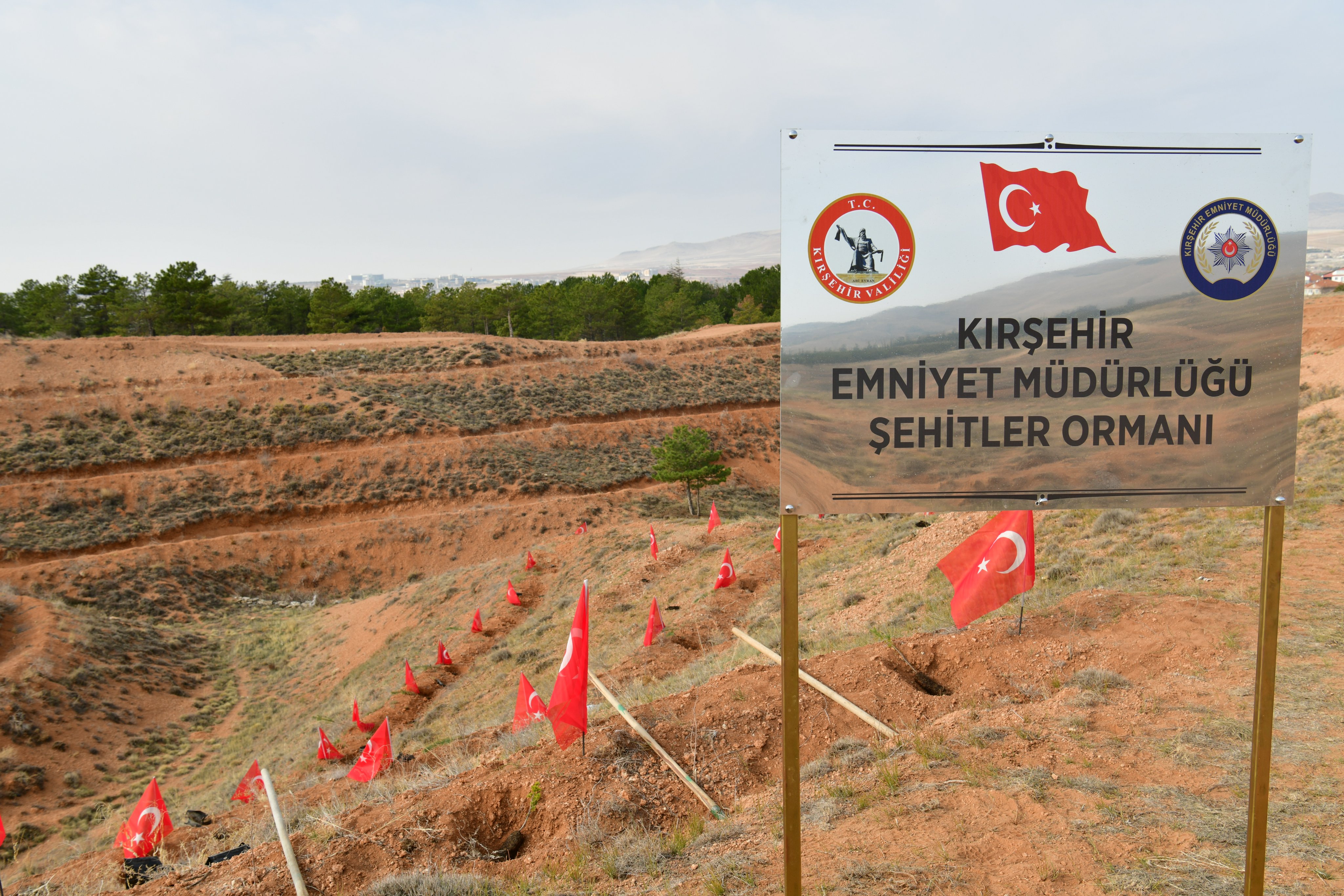 Kırşehir’de Şehitler Için Fidanlar Toprakla Buluştu 1