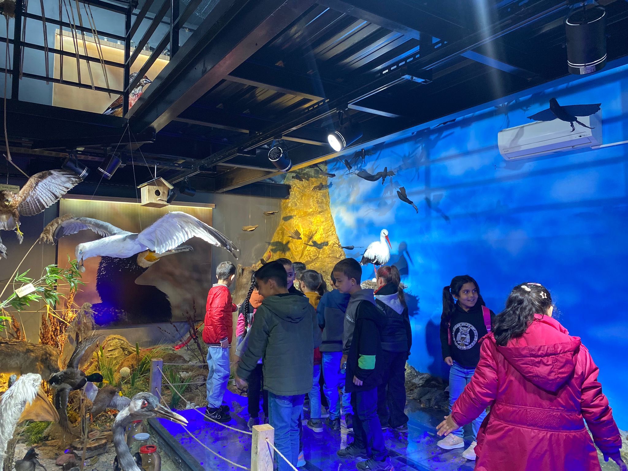 Minik Öğrenciler Kırşehir’in Doğasını Keşfe Çıktı2