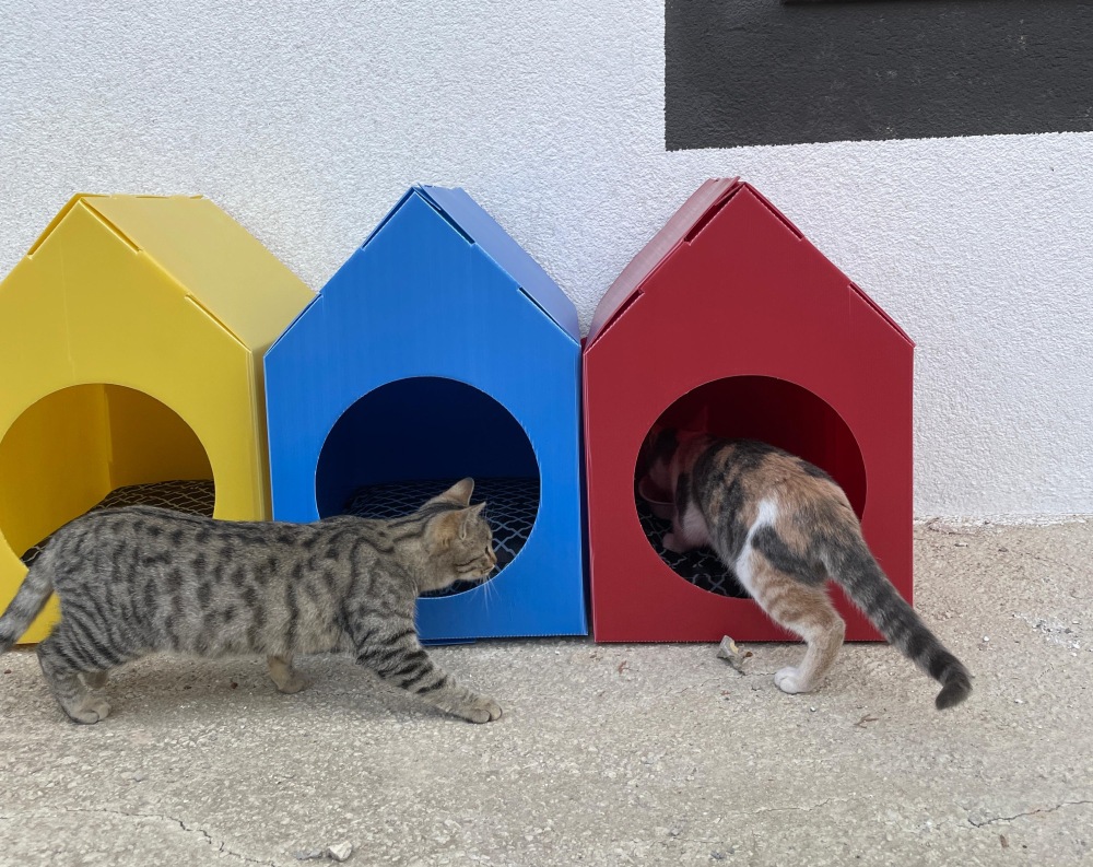 Öğrencilerden Can Dostlara Sıcak Bir Dokunuş1