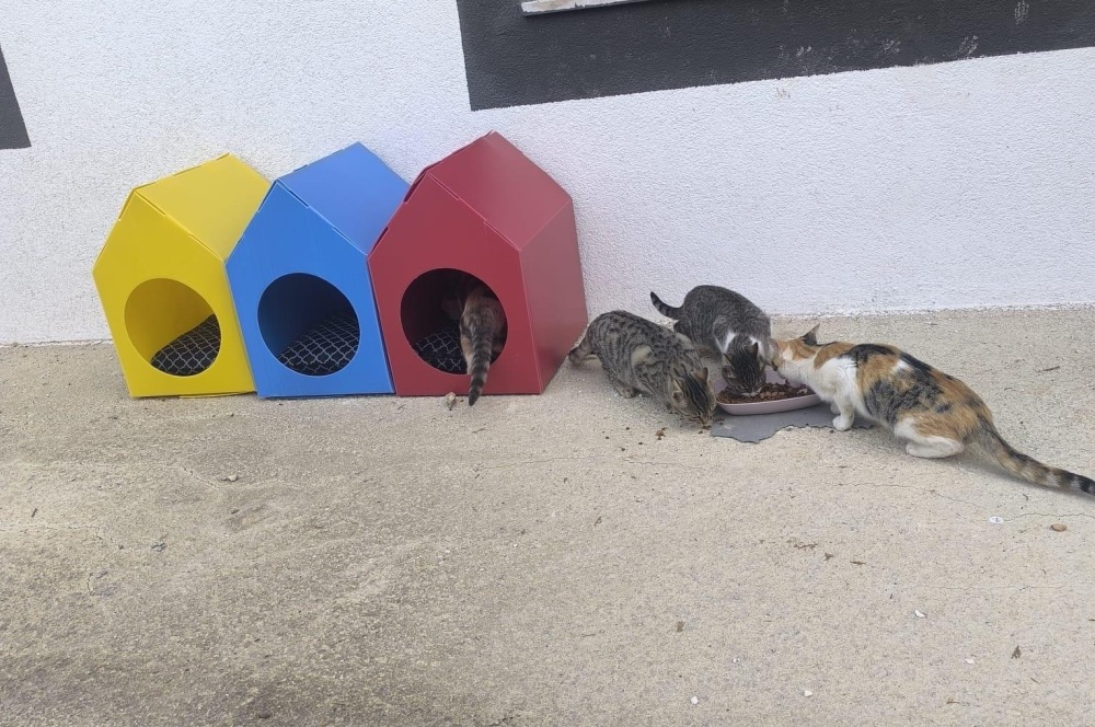 Öğrencilerden Can Dostlara Sıcak Bir Dokunuş2