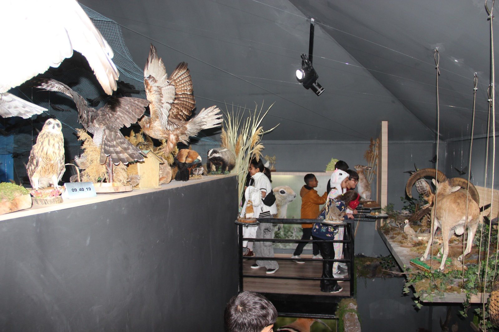 Tabiat Müzesi’nde ‘Yüzümüz Gülsün’ Buluşması2