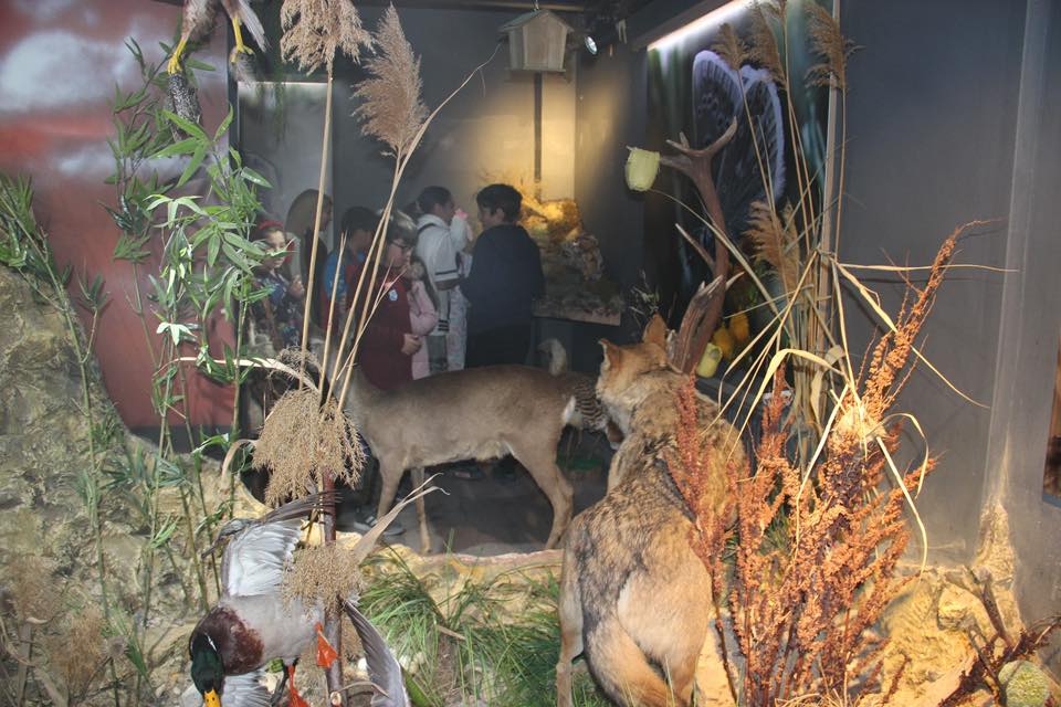 Tabiat Müzesi’nde ‘Yüzümüz Gülsün’ Buluşması3