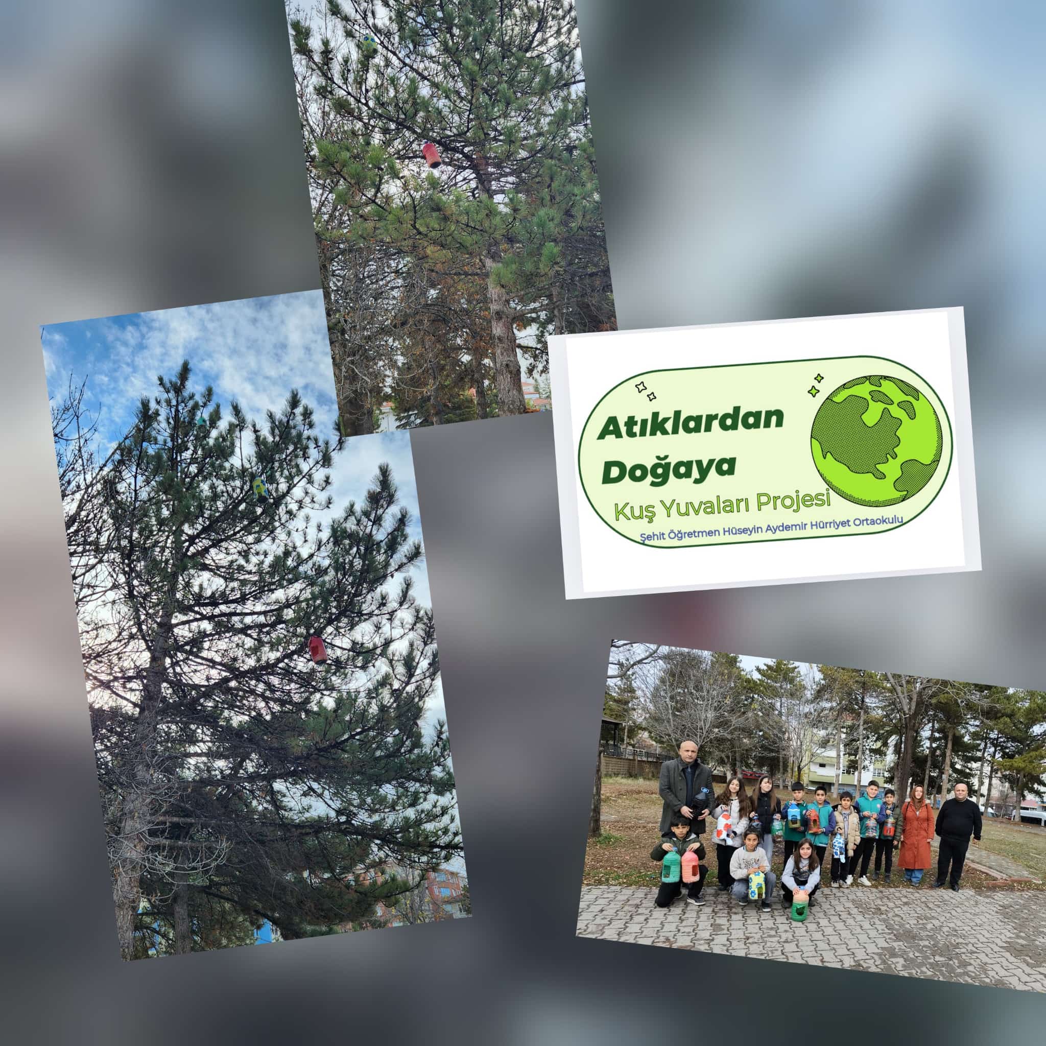 12Cbea70 95Ec 4820 A2E0 0Bc4Ca38Ca30