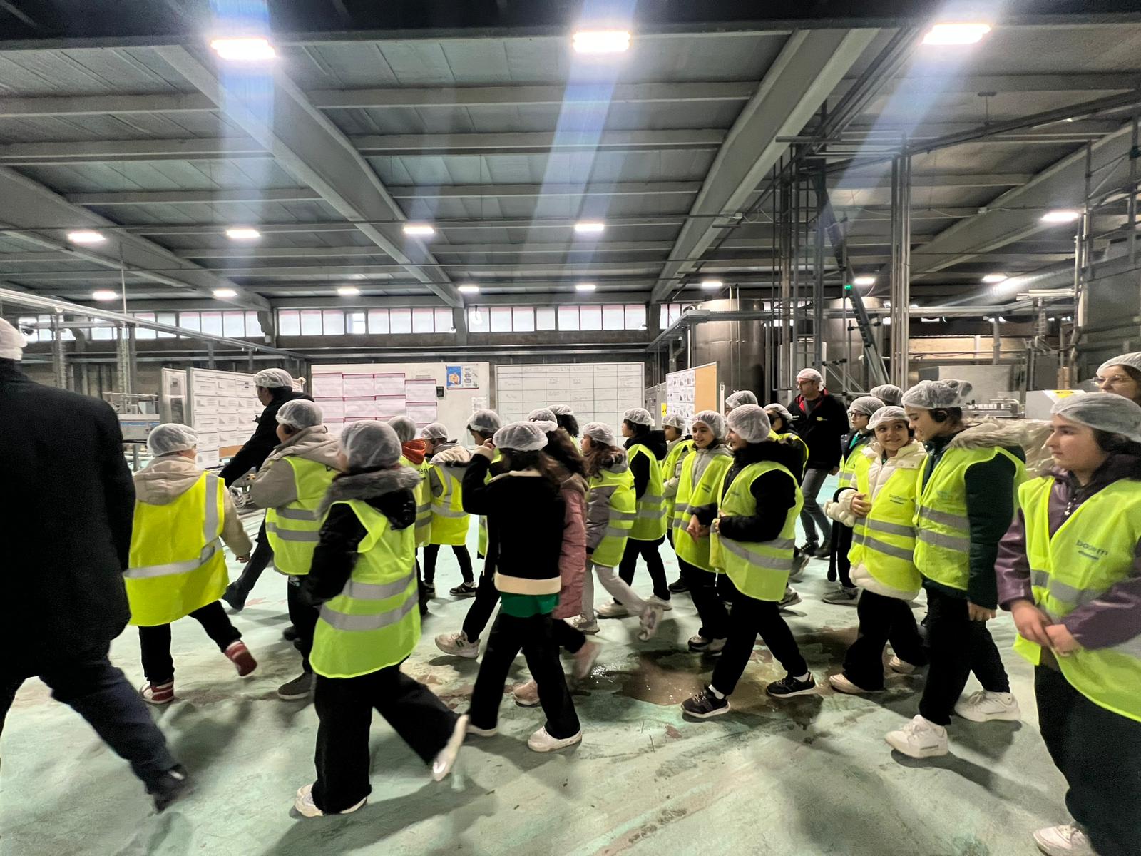 28E77A1A 0081 4245 8438 Ccfbd2659689