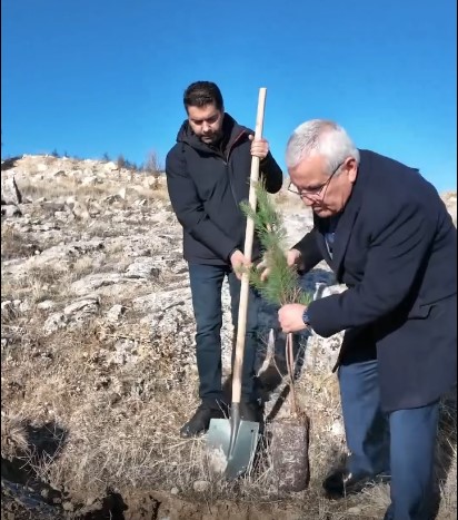 400 Fidan Toprakla Buluştu (2)