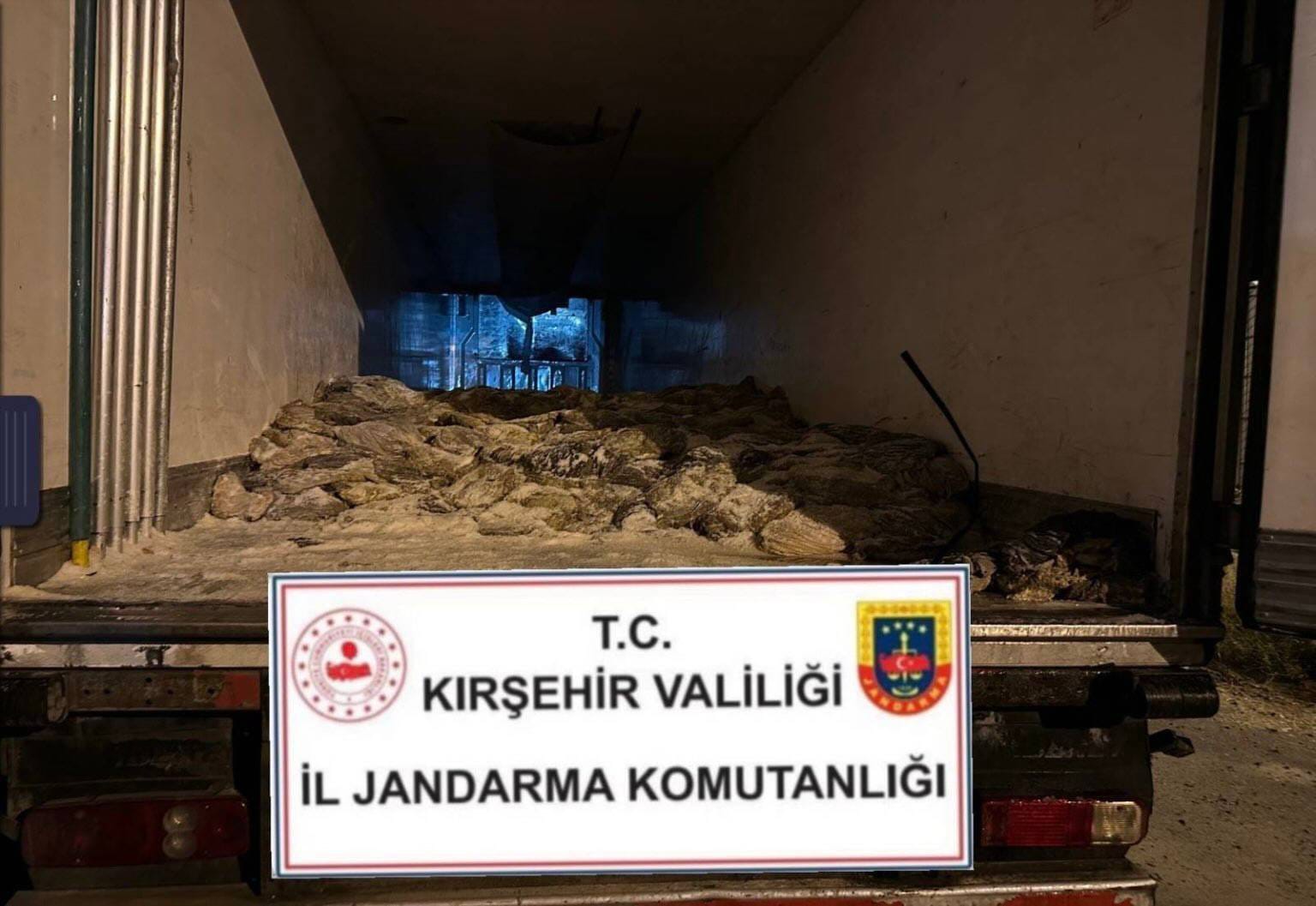 4A94E257 C053 4B4F B883 13049Ca0594B-1