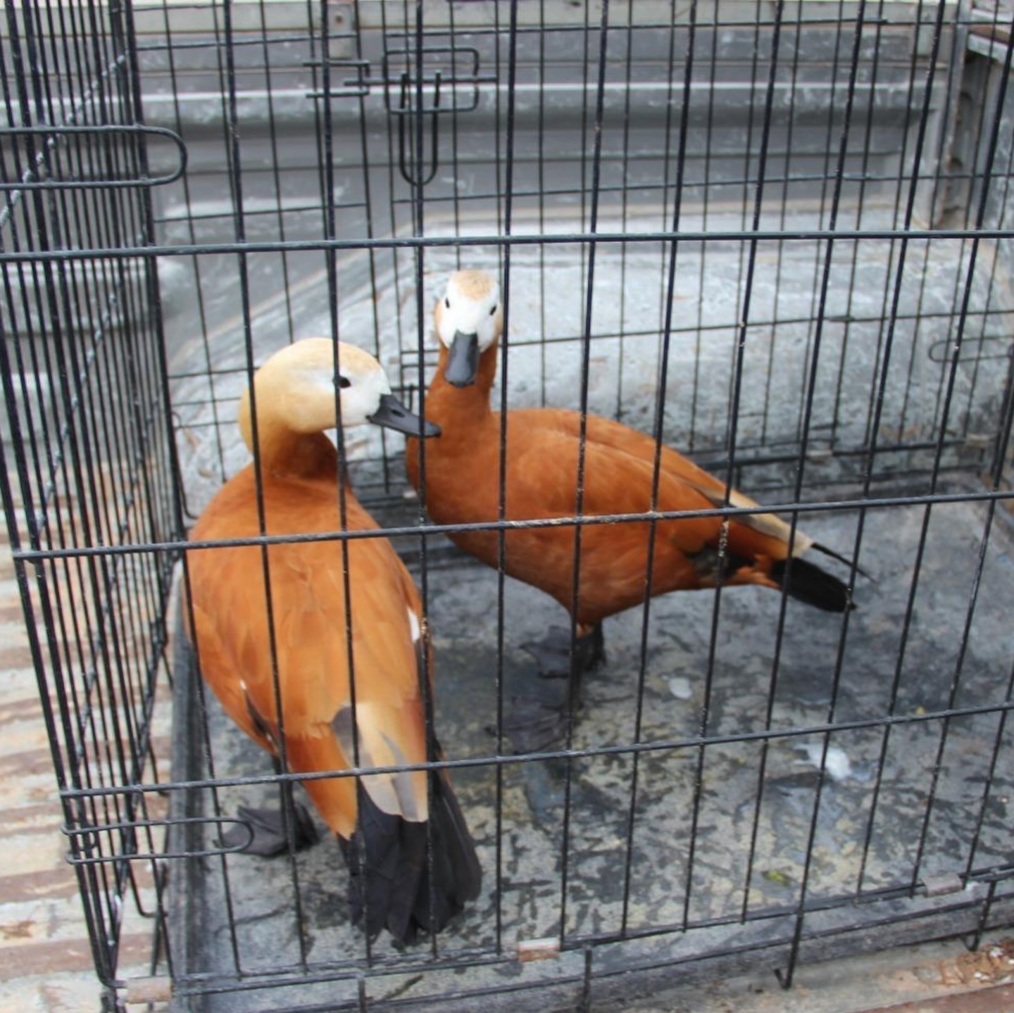 589712944 18548967997065290 1571140287076925570 N