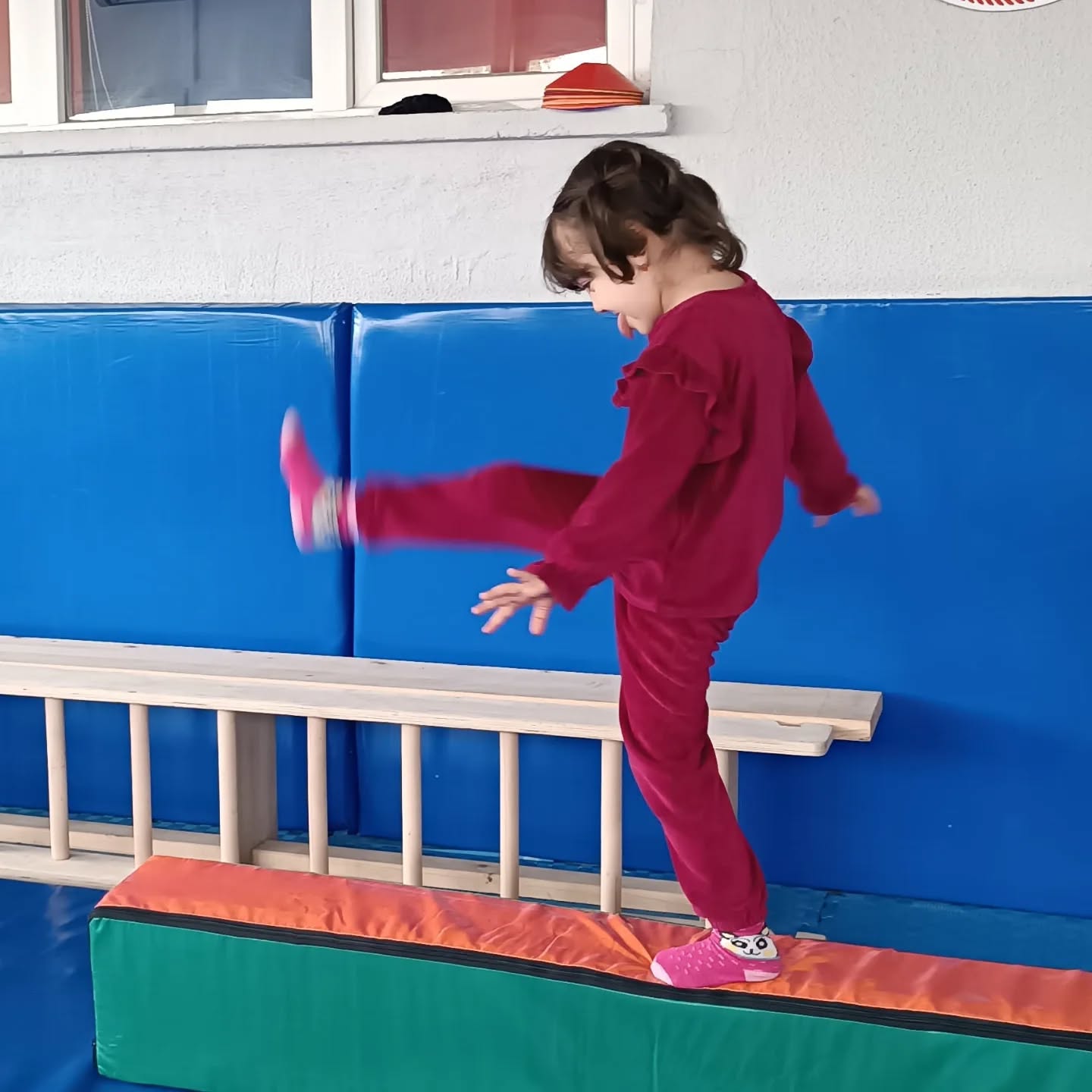 590511239 18338325820231791 894687743481505113 N