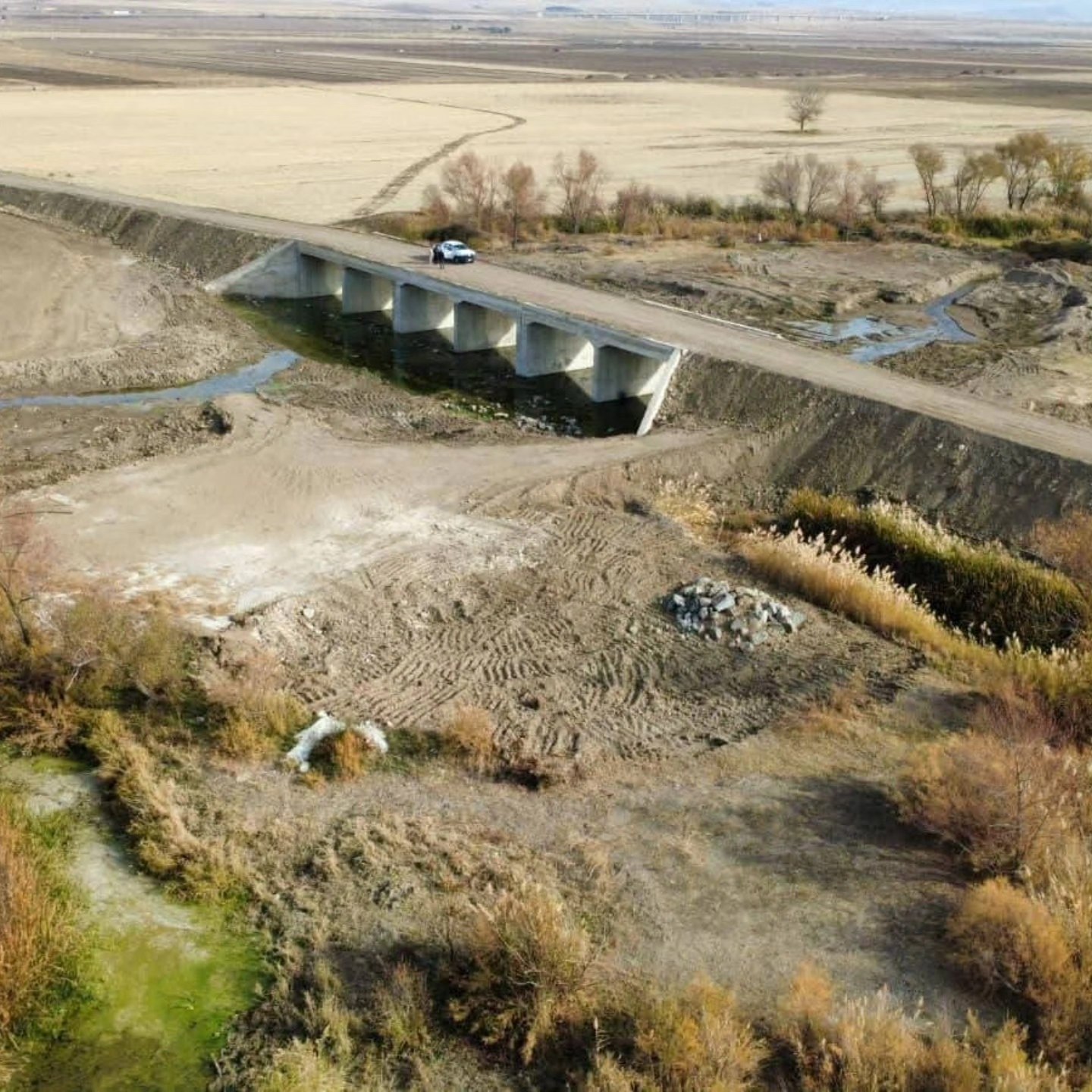 593510007 1175540054762826 100846122196845020 N