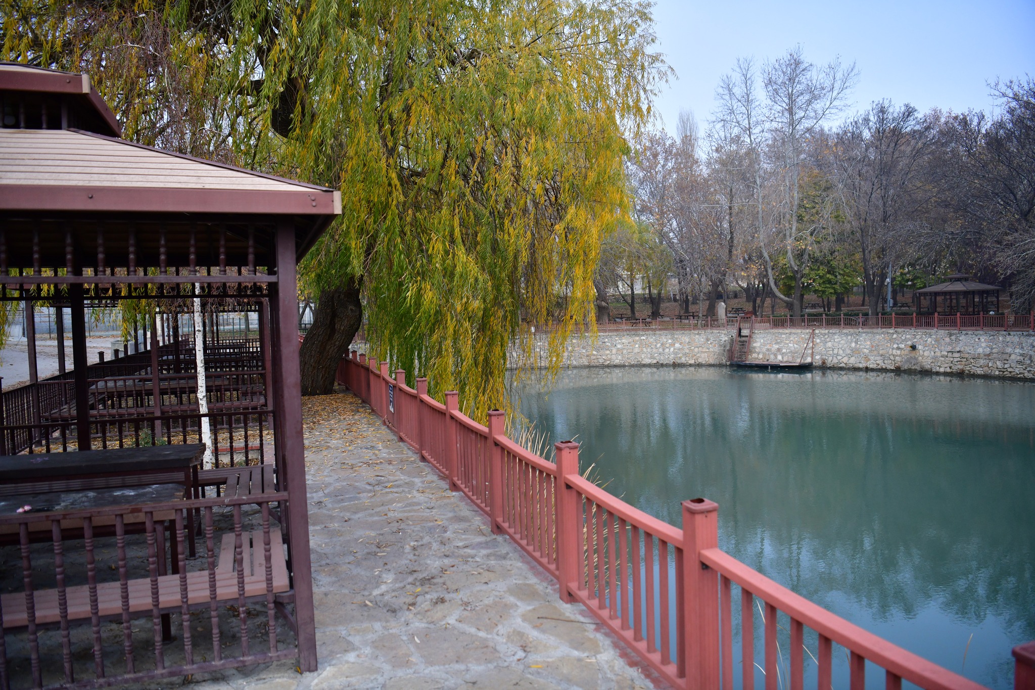 593562653 1174104384907512 7143426318179753021 N