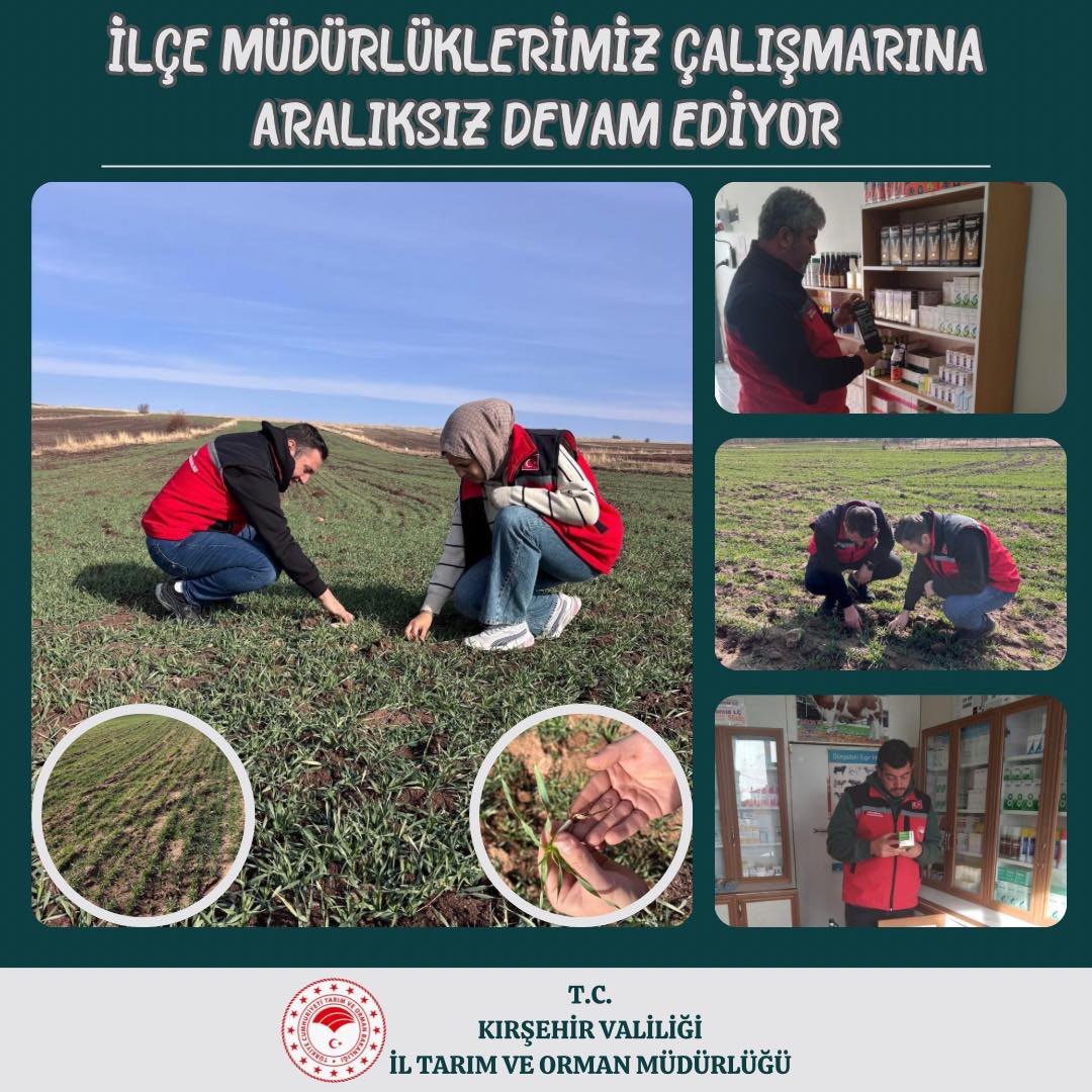 594078073 859445486560216 404323946261788511 N