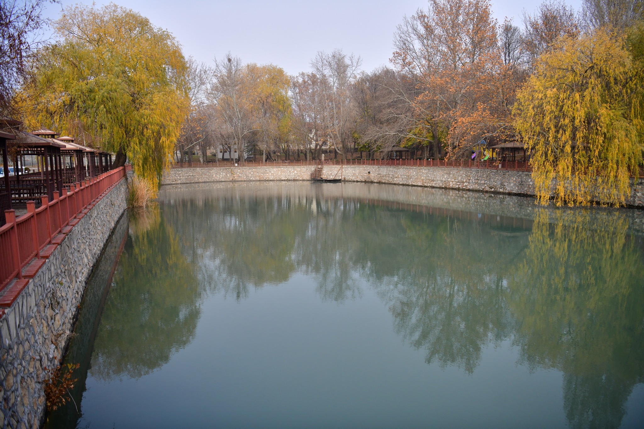 595075584 1174104218240862 2789379160497645318 N