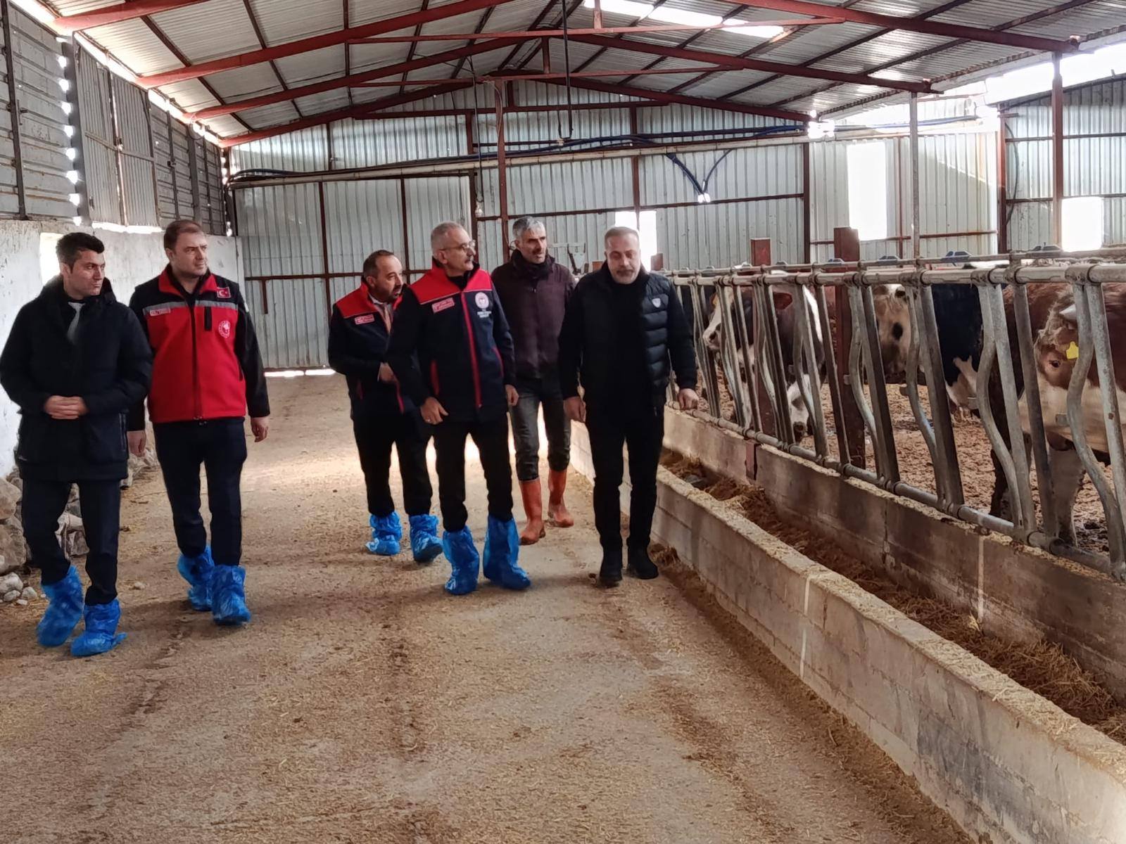 596416874 862377116267053 2066275083035743683 N