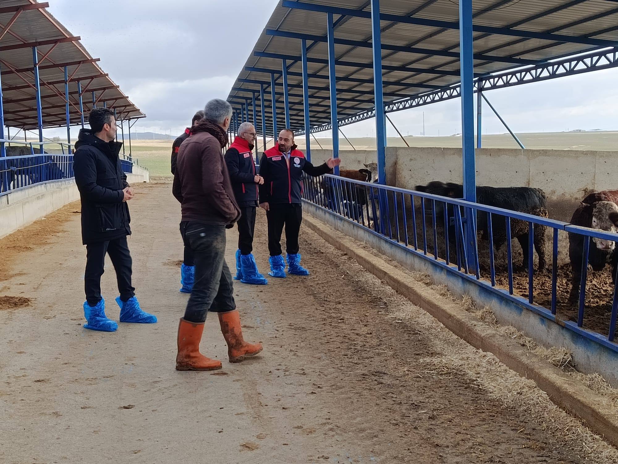 596818301 862377236267041 7669008835656055082 N