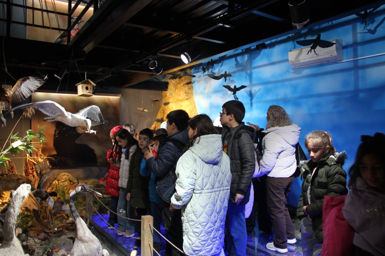 597554304 1165995315644356 5949595849646674425 N