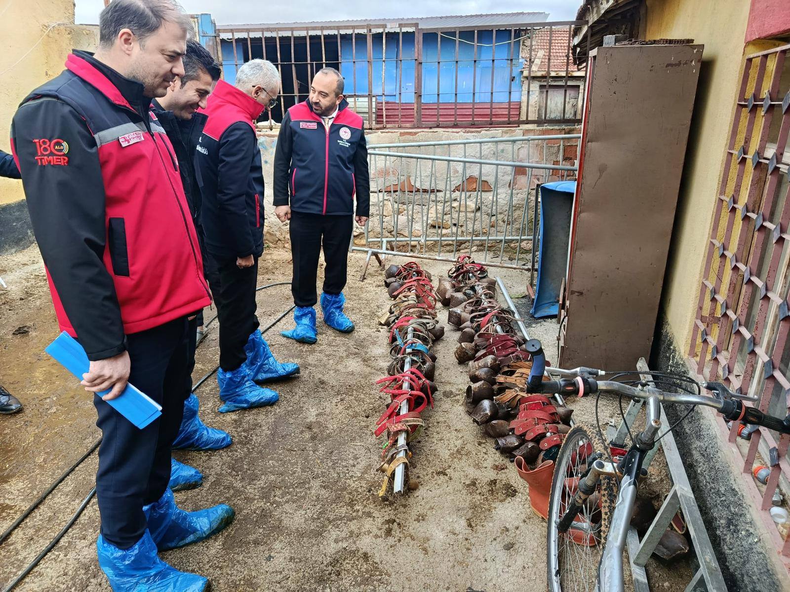 597573469 862377172933714 8569260845914652217 N