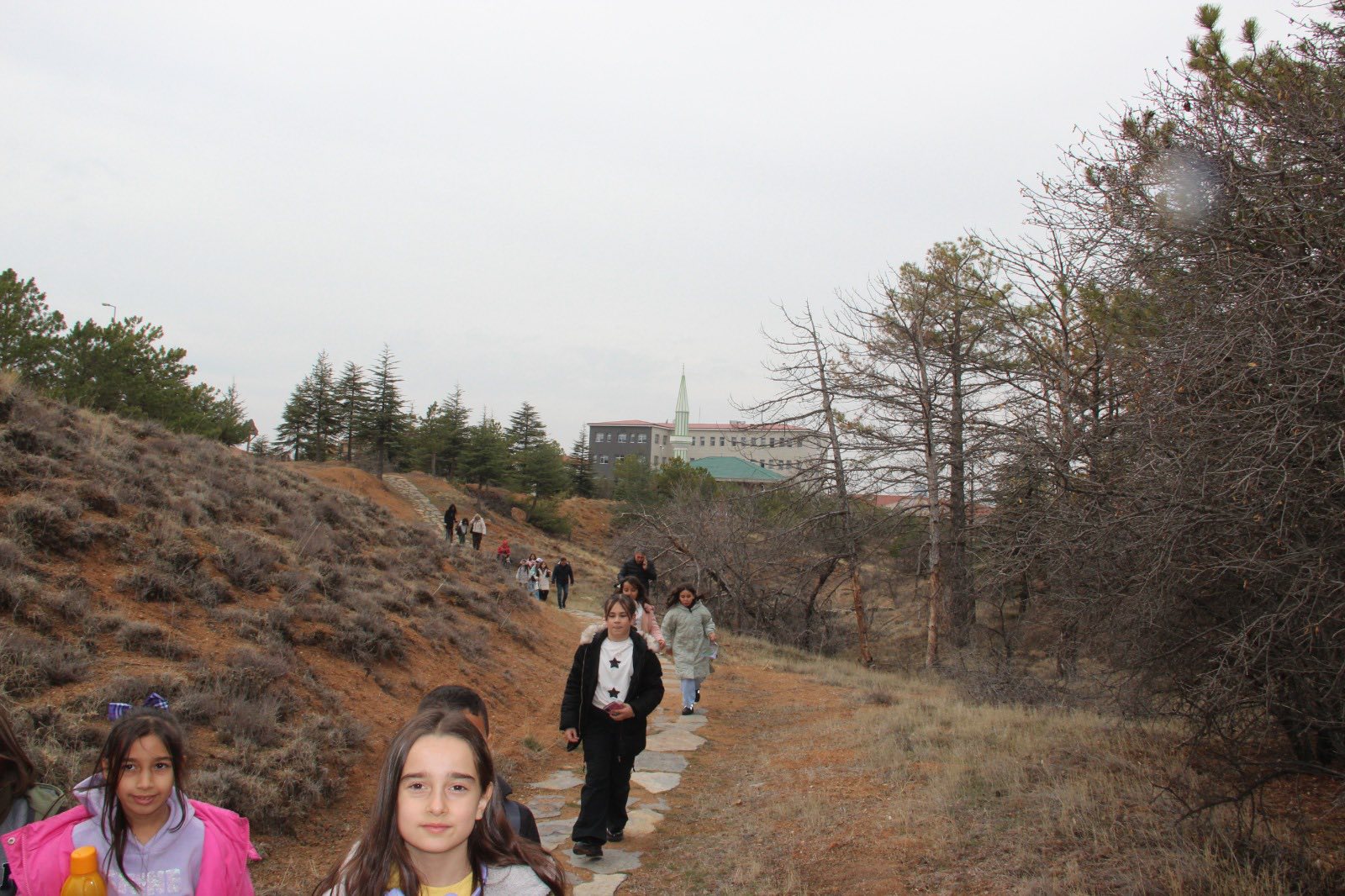 597777742 1165995385644349 2744673017819675517 N