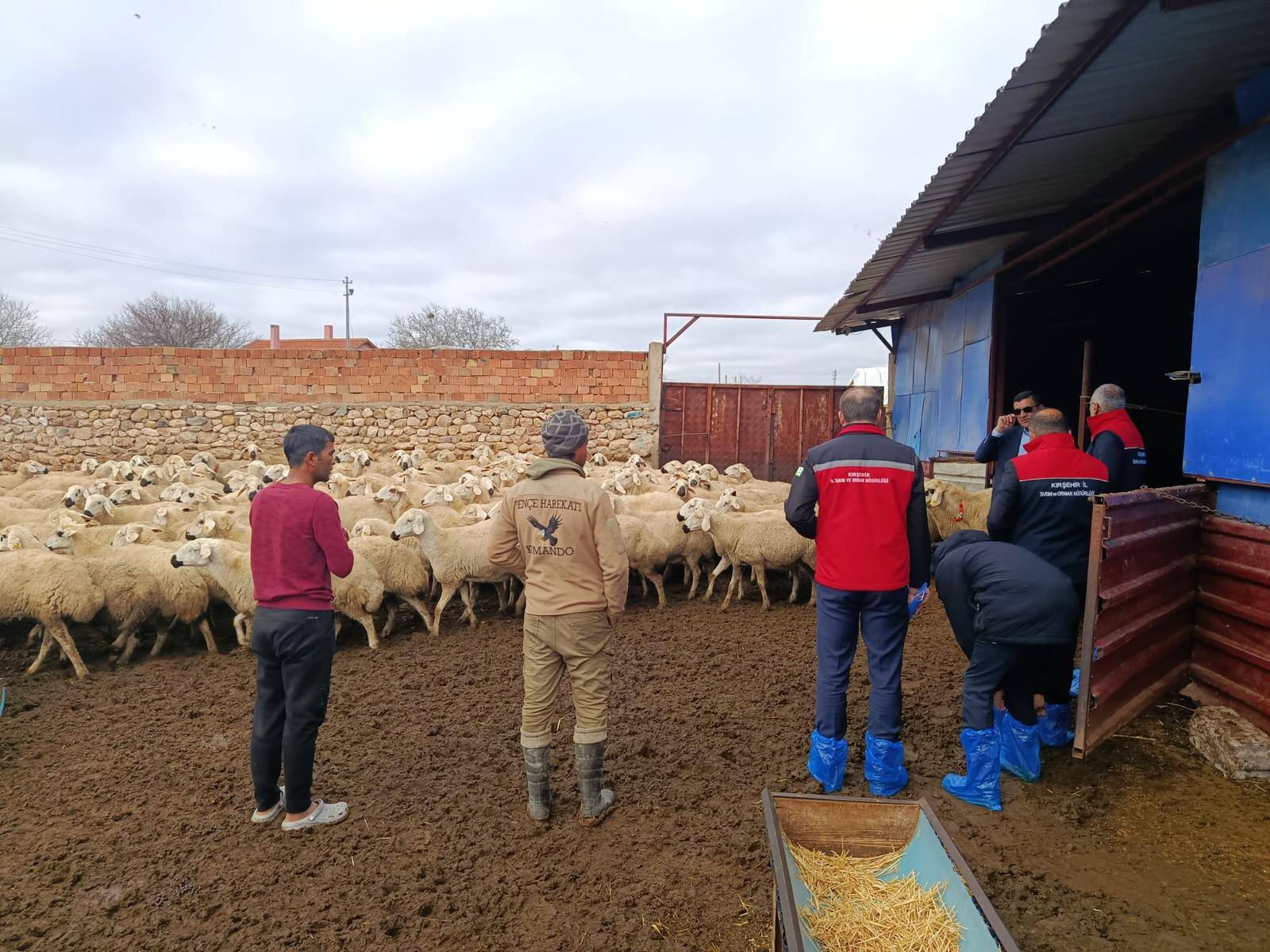 598010635 862377262933705 4992417912537273937 N