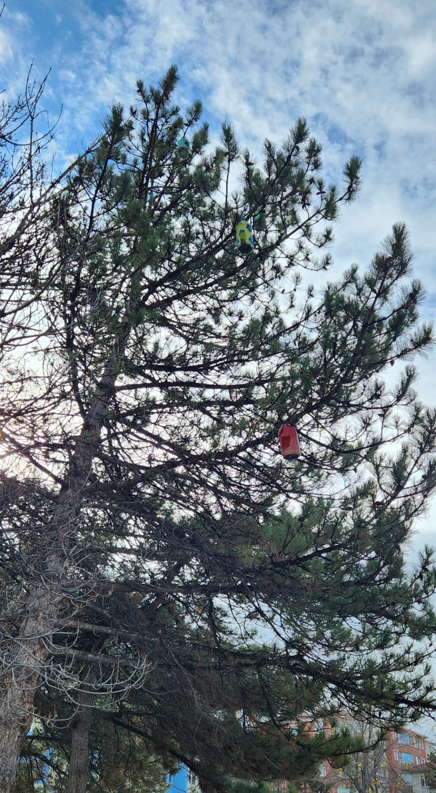 83Dcc02E 7453 4130 934E 22C72E6B3E1C