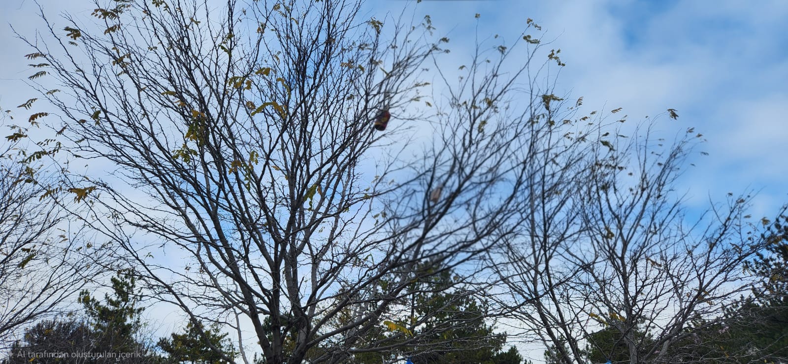 8De5E3Ad 4517 483F 828E 5Aa109Da7234