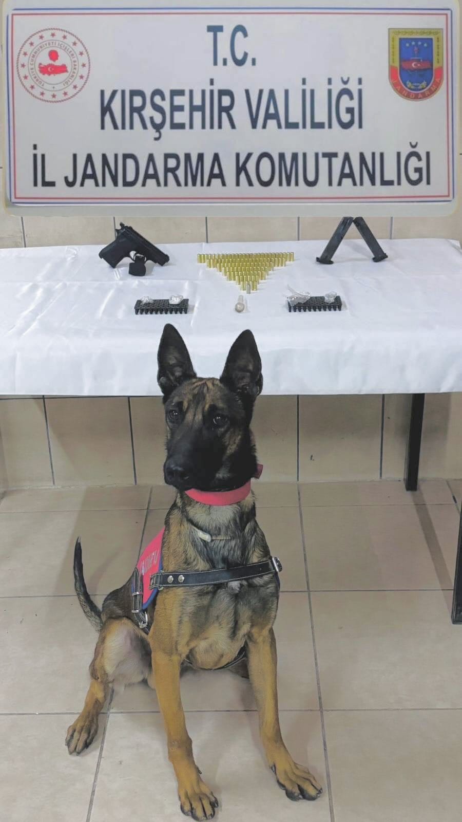 D6A6Ec20 E8C3 417F A95A Ea7Bdb03Dc87