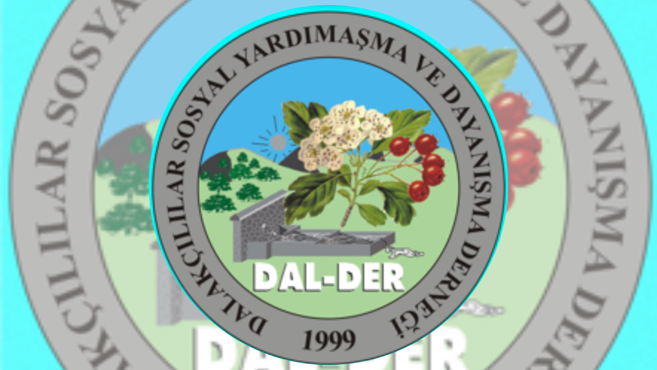 Kırşehir Memleket Haber Portalı 2025 12 10T150622.354