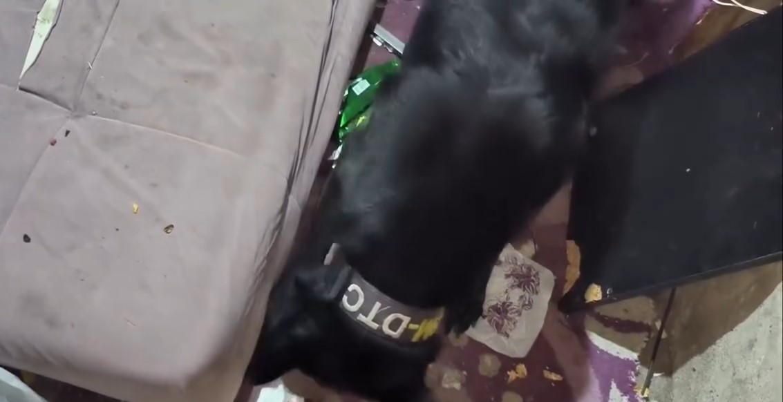 Kırşehir’de 12 Adrese Eş Zamanlı Narkotik Operasyonu (2)