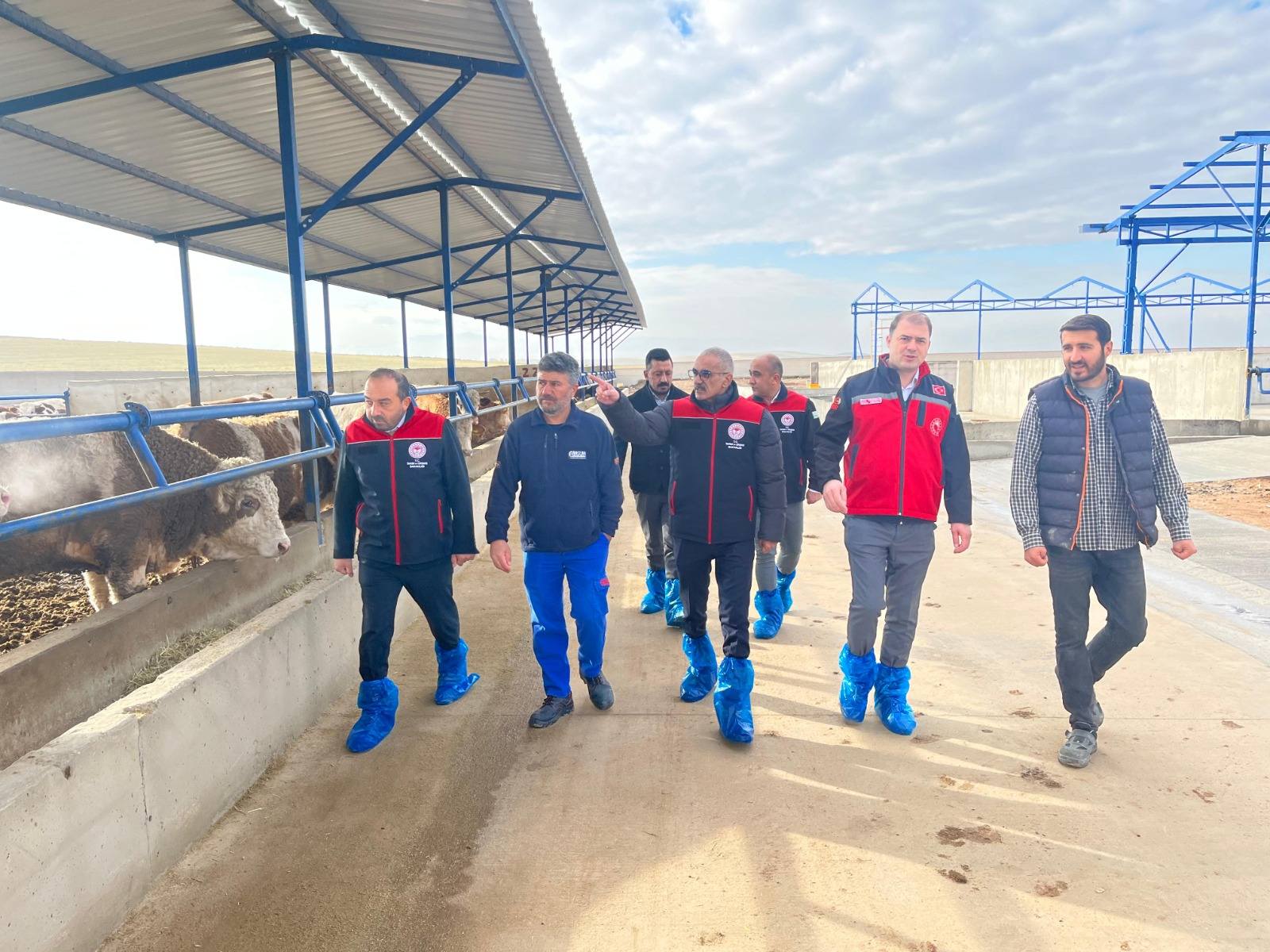 Kırşehir’de Hayvancılığa Yerinde Destek Sunuluyor 1