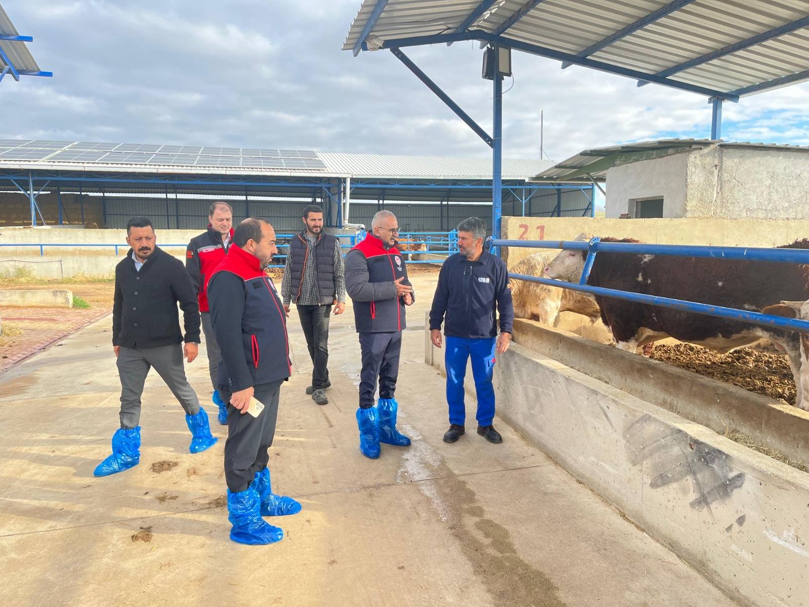 Kırşehir’de Hayvancılığa Yerinde Destek Sunuluyor