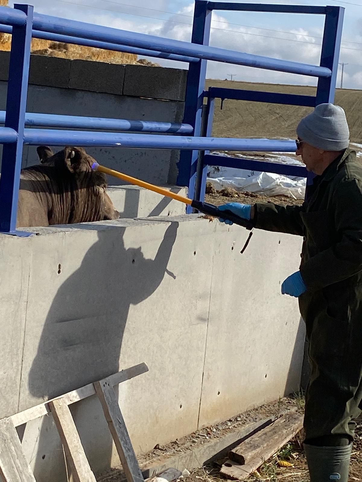 Kırşehir’de Veteriner Ekipler Sahada 3