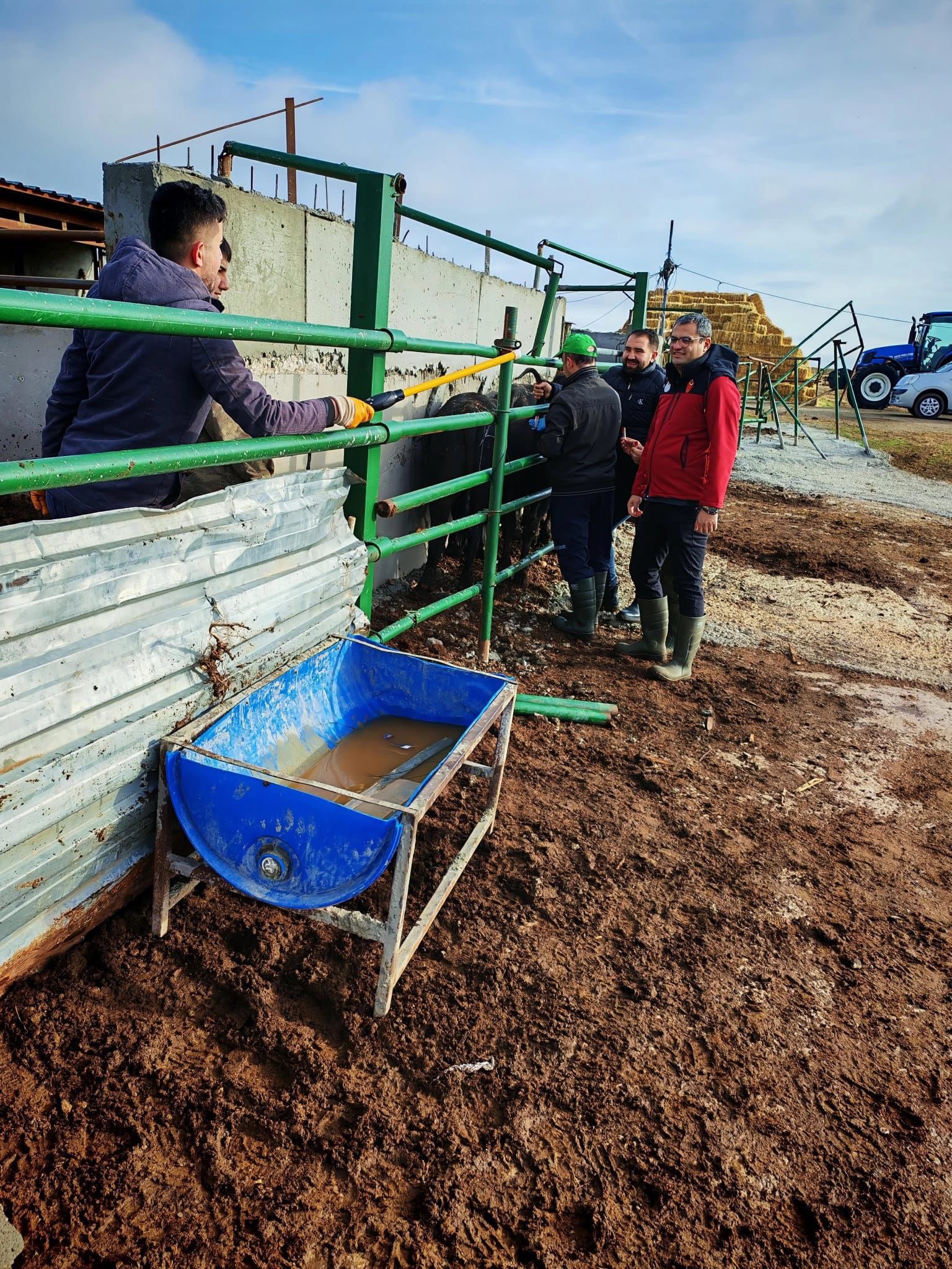 Kırşehir’de Veteriner Ekipler Sahada 4
