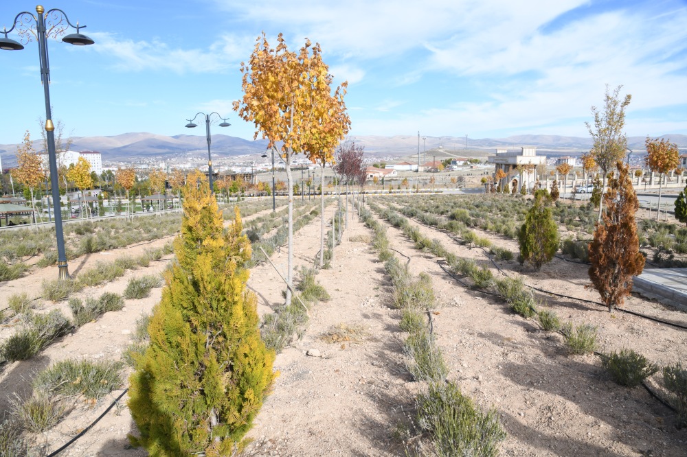 Rektör Karahocagil, Üniversitedeki Modern Dönüşümleri Yerinde Inceledi (1)