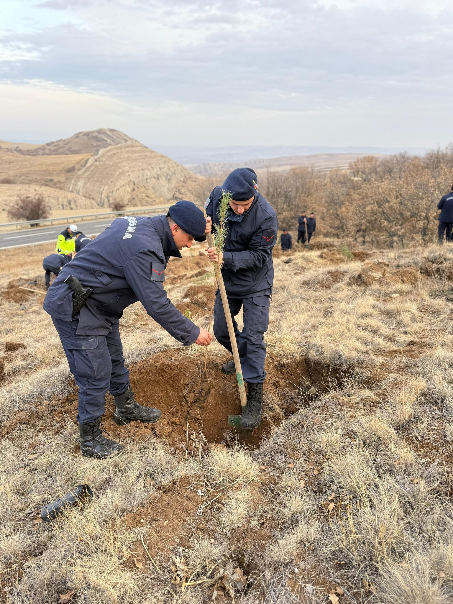 Şehitler Anısına 170 Fidanla Jandarma Ormanı Kuruldu2