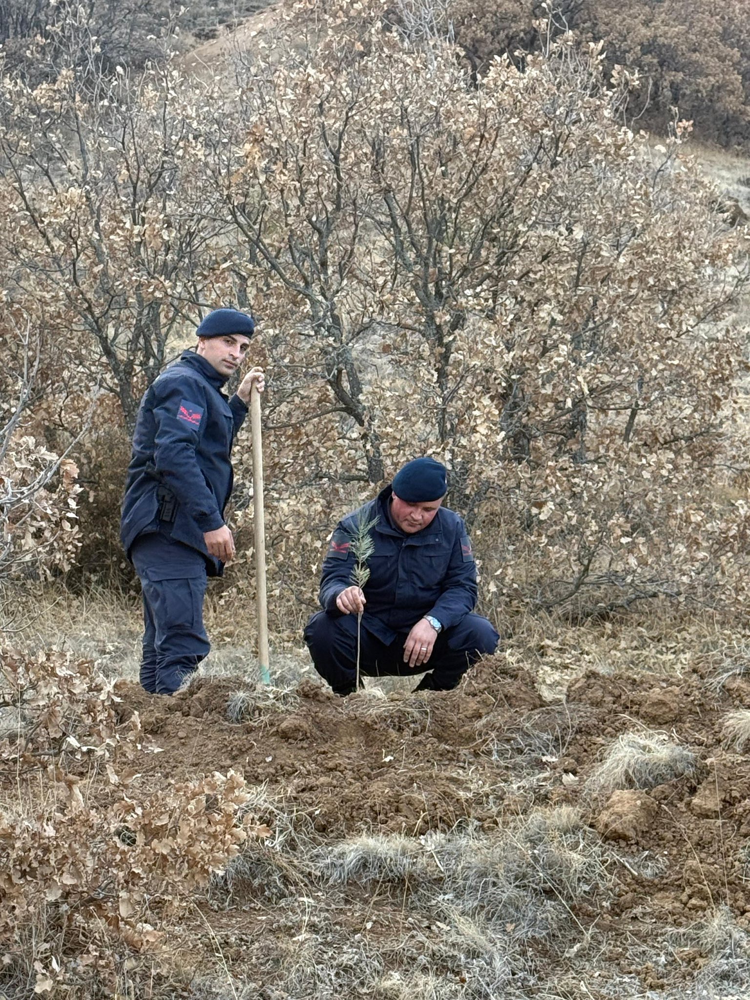 Şehitler Anısına 170 Fidanla Jandarma Ormanı Kuruldu4