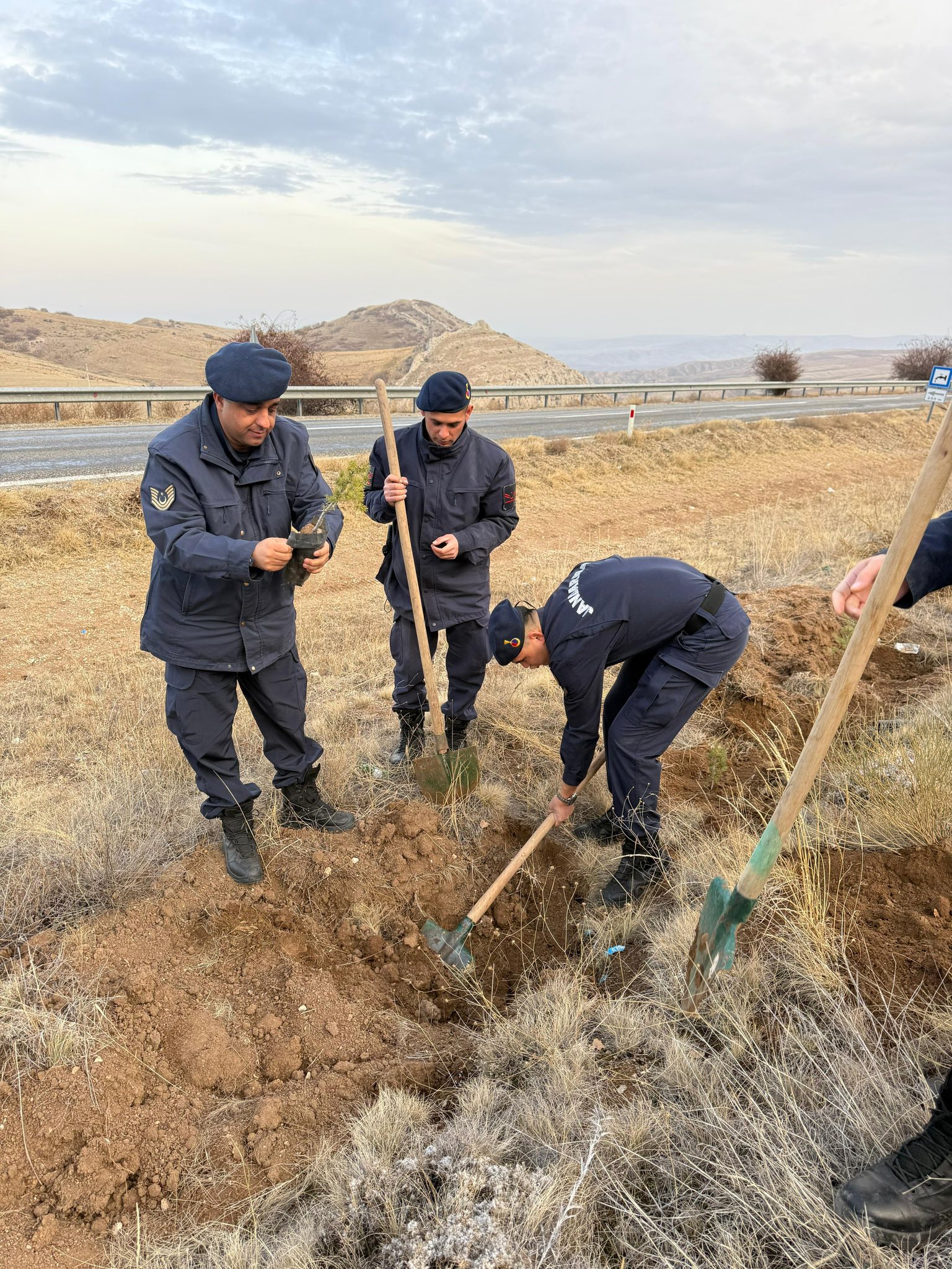 Şehitler Anısına 170 Fidanla Jandarma Ormanı Kuruldu5
