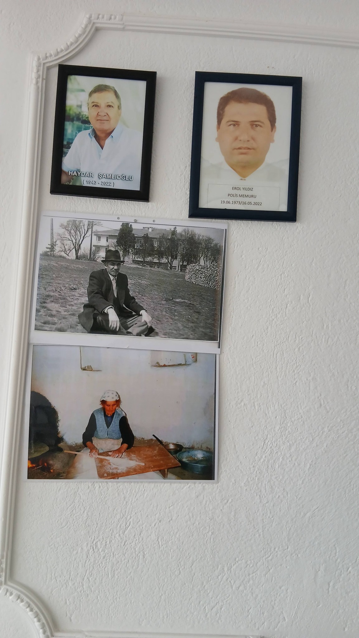 Tepefakılı Köyü’nün Ölümsüz Çınarları 1